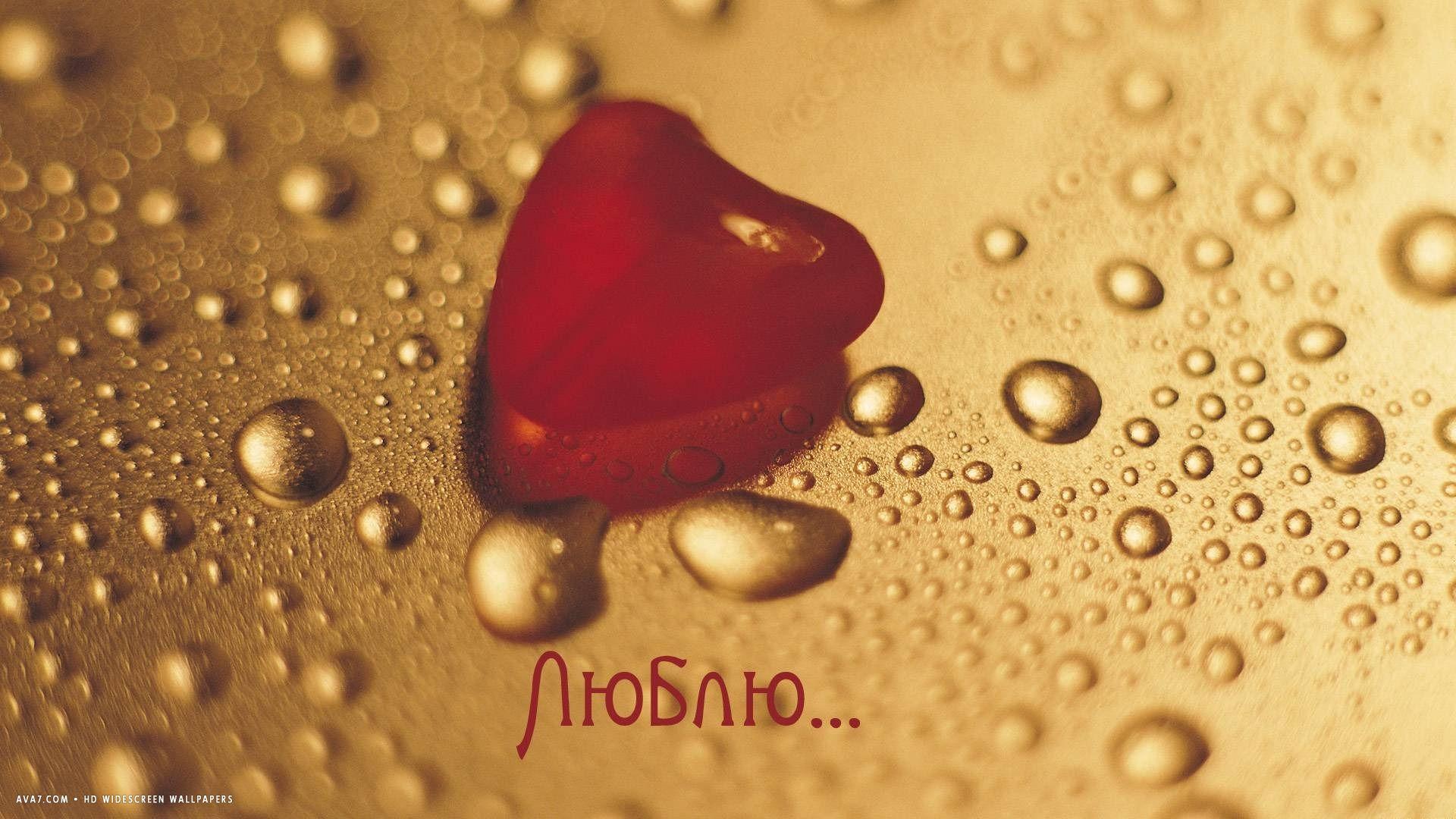 i love you russian word language red heart water drops HD