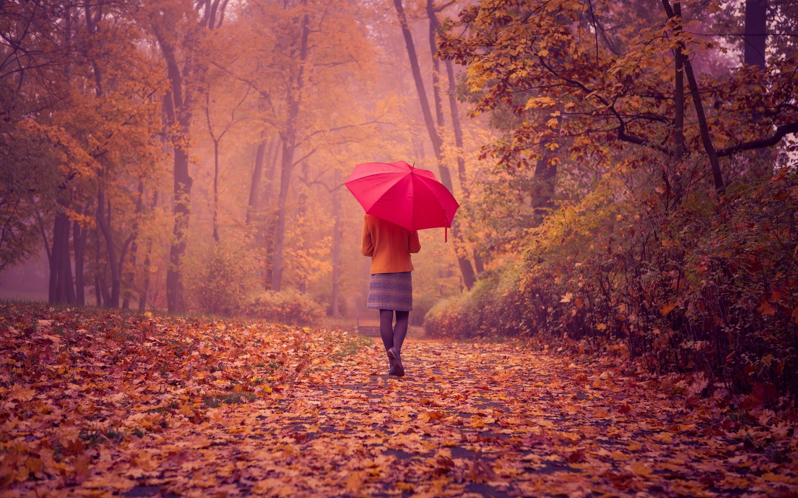 Girl Red Umbrella Fall Road Nature