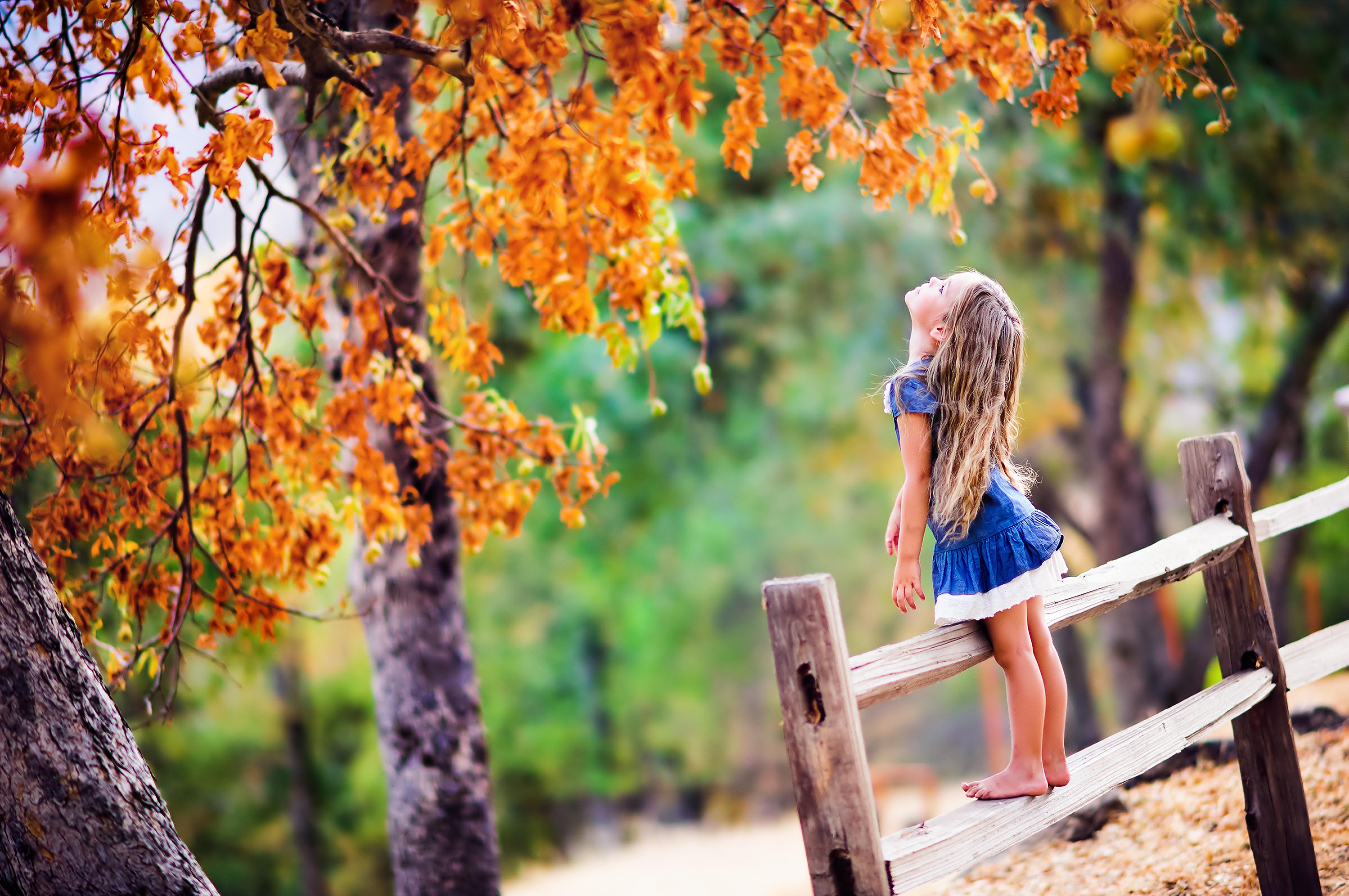 autumn, splendor, fall, nature, woods, forest, child, girl
