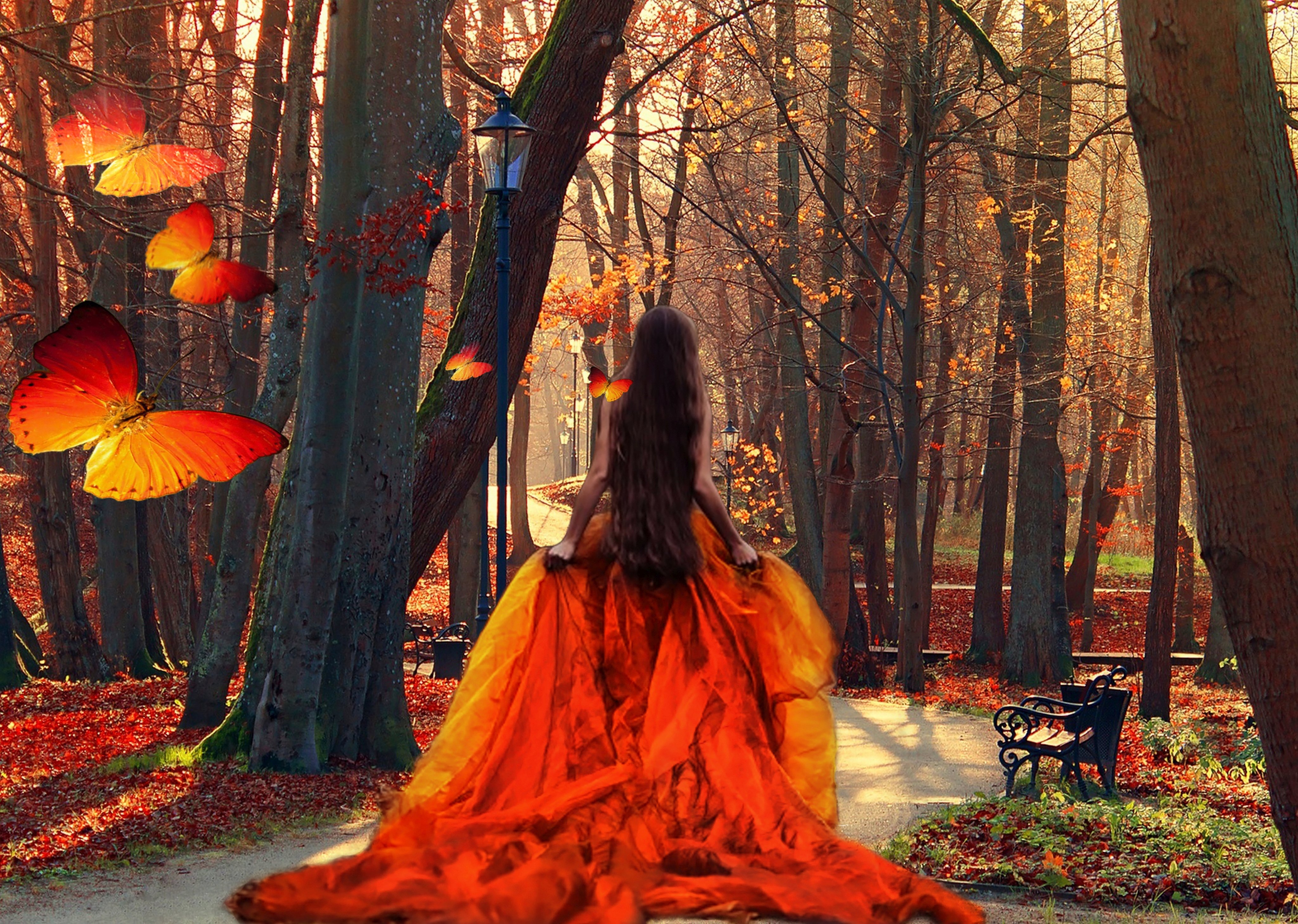 Trees leaves long hair orange season brunette long dress butterflies