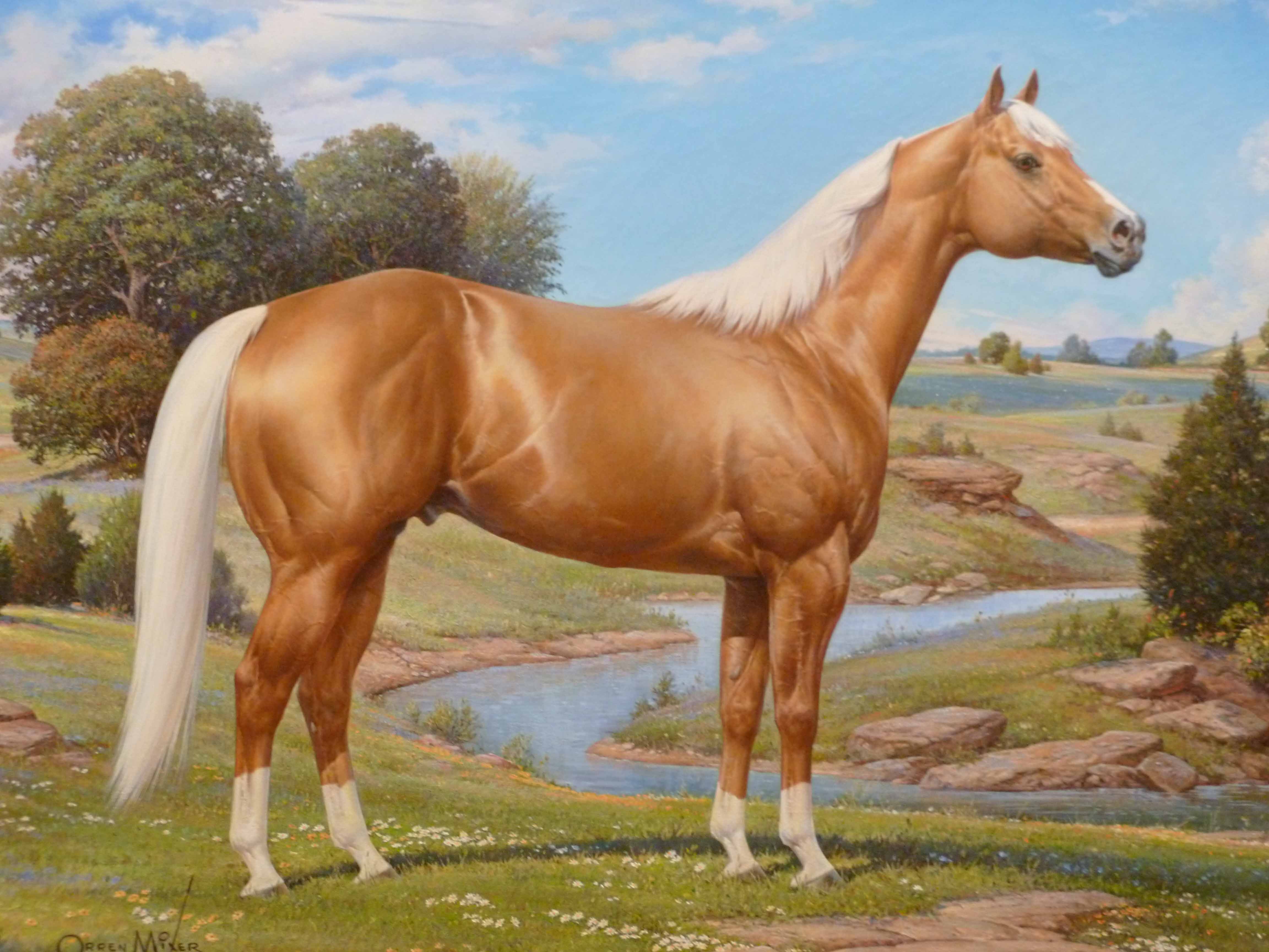 Arabian brown horse sketch painting art HD wallpaper and image