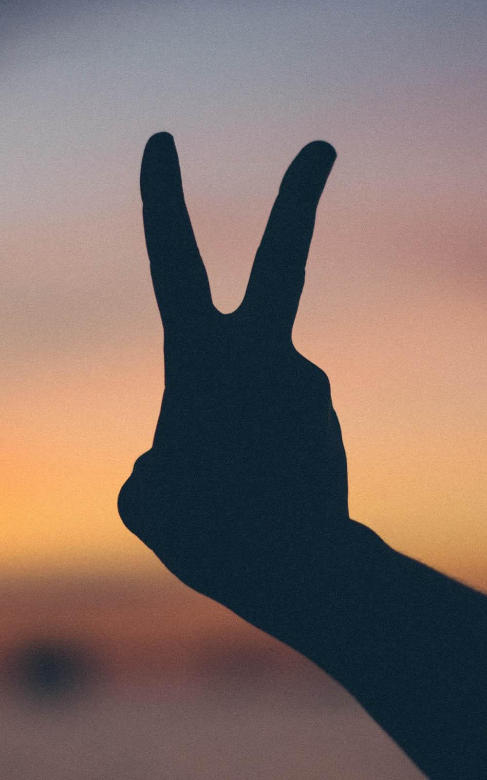 Victory me pose hand signs hand signs peace HD phone wallpaper   Peakpx