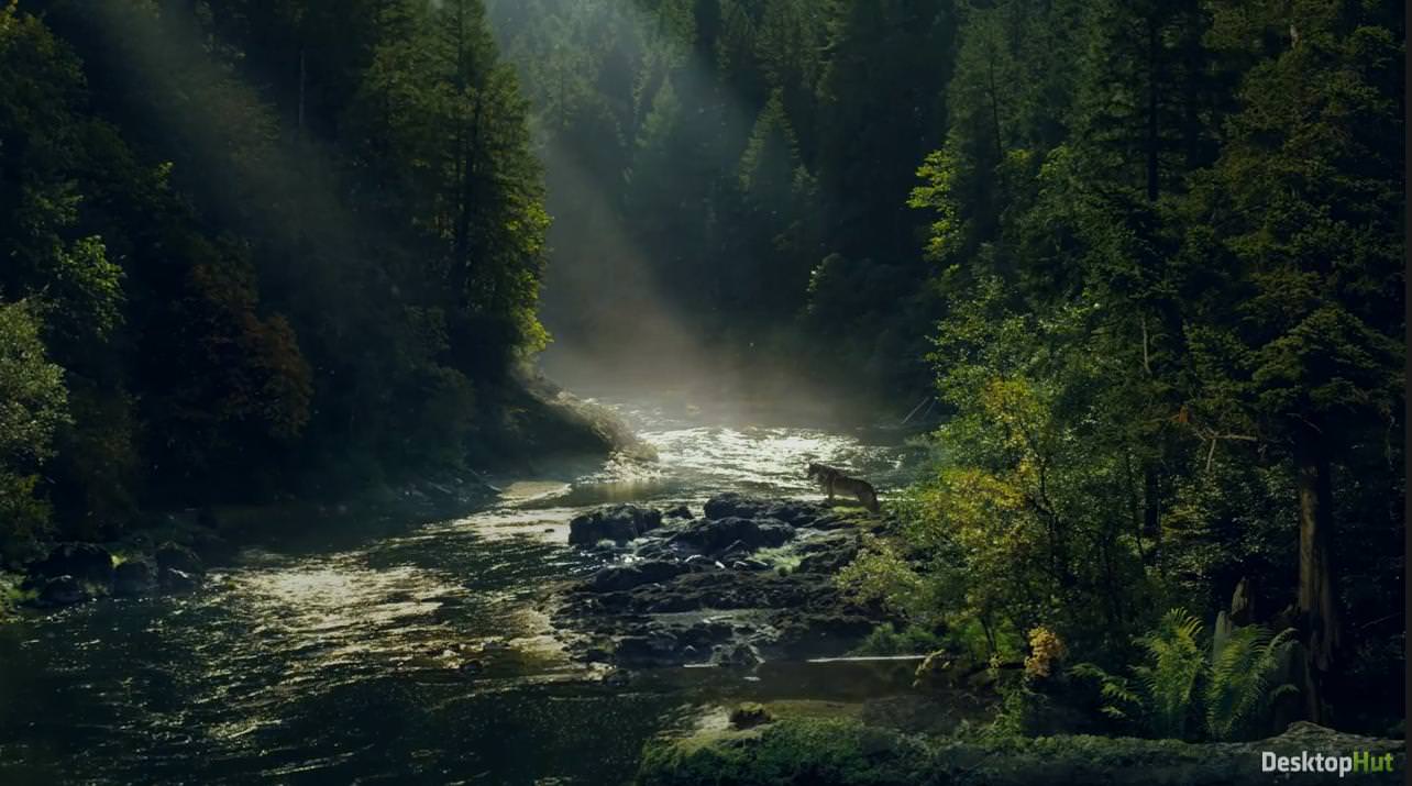 Farcry 5 Jacob Seed Region HD Live Wallpaper Free