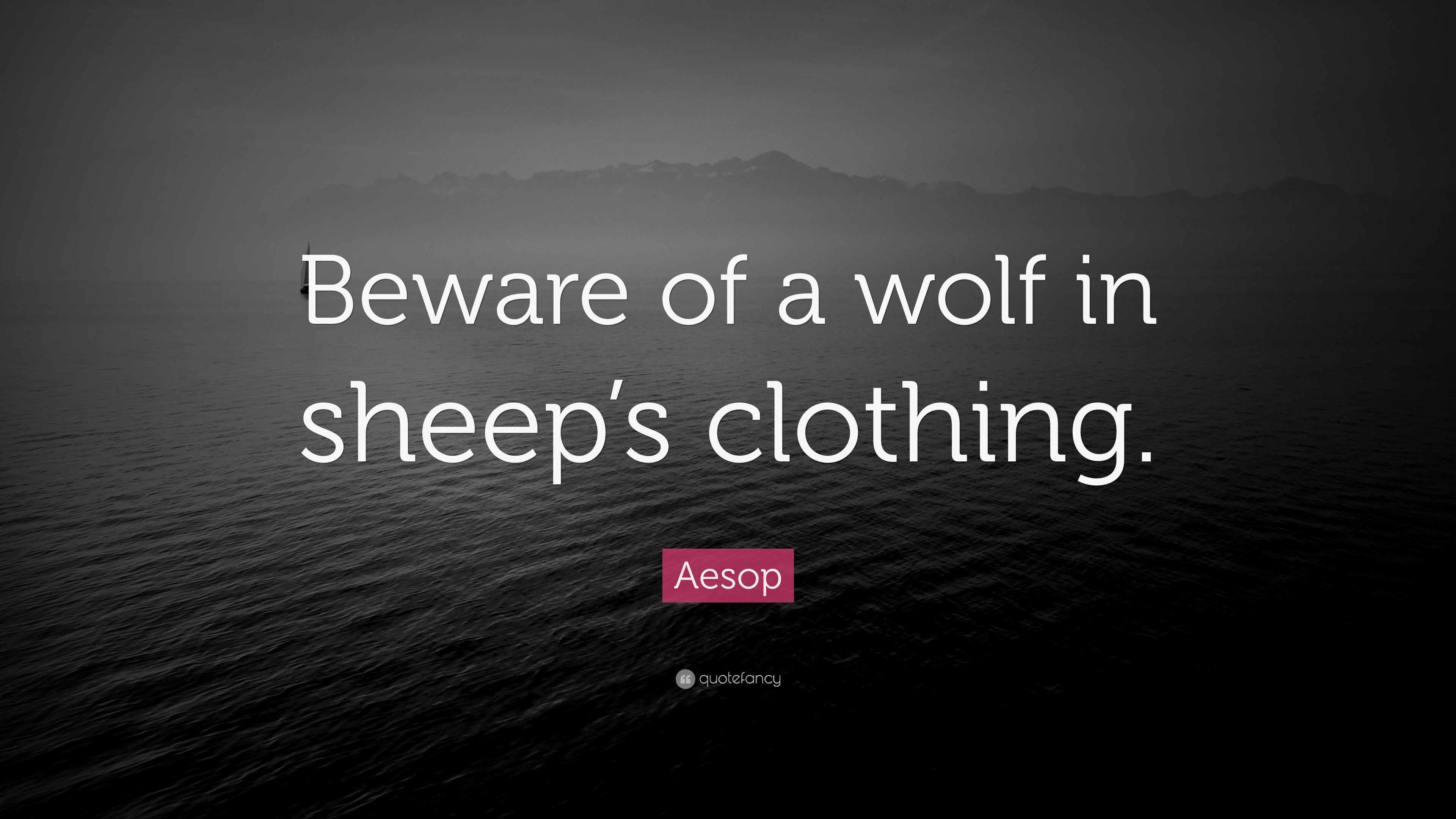 Aesop Quote: “Beware of a wolf in sheep's clothing.” 10