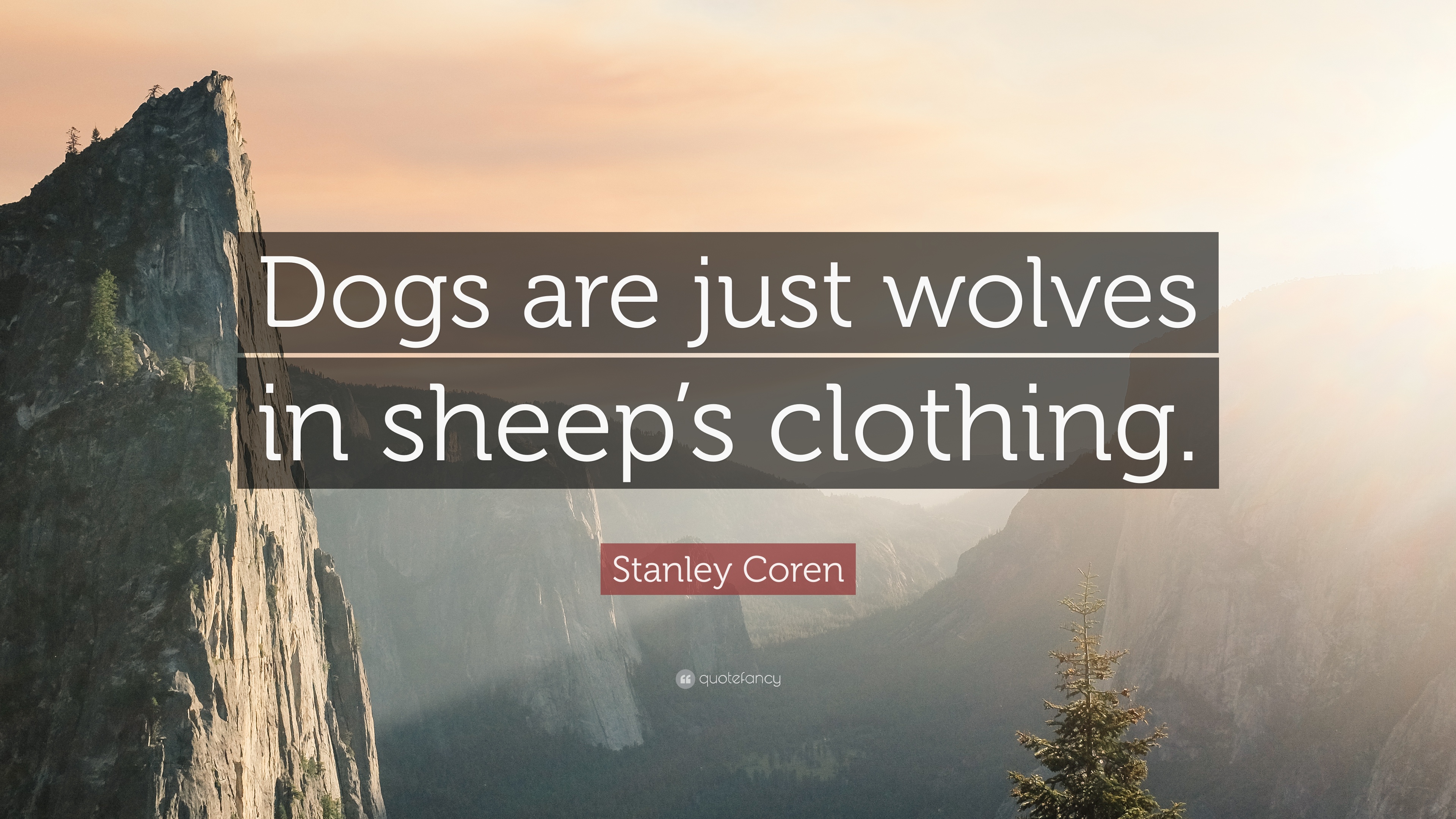 Stanley Coren Quote: “Dogs are just wolves in sheep's clothing.” 7