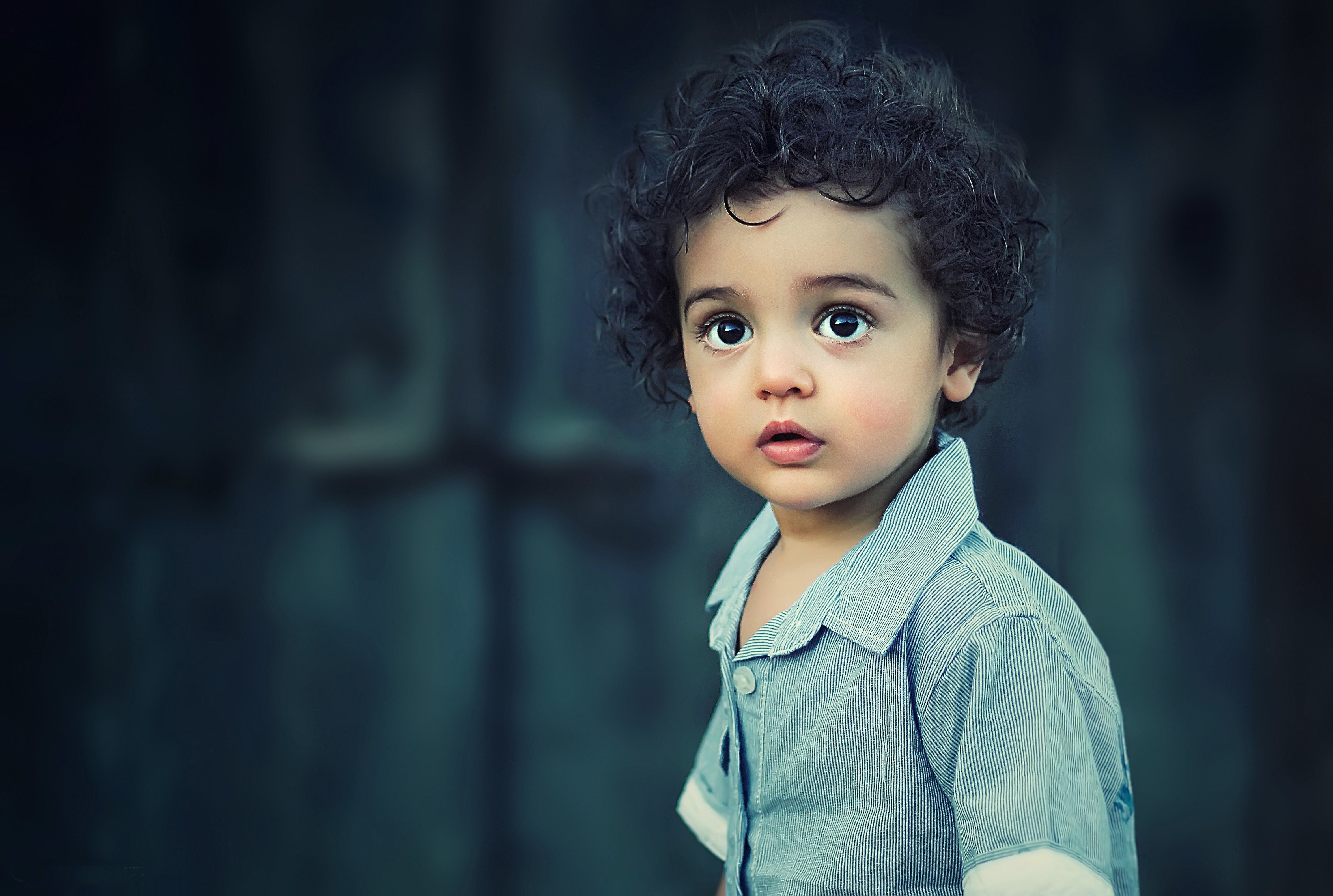 Toddle Wearing Gray Button Collared Shirt With Curly Hair · Free
