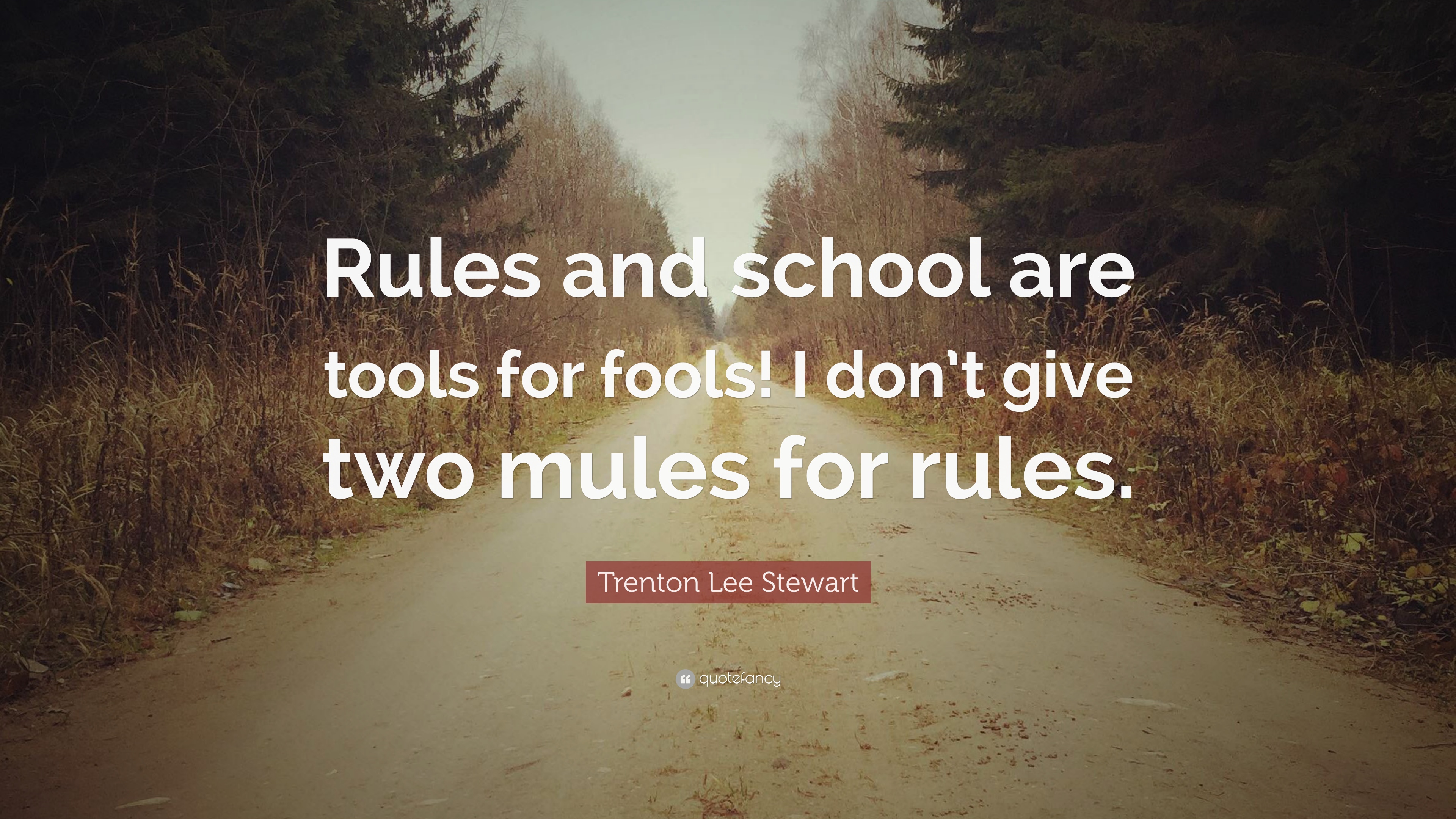 Trenton Lee Stewart Quote: “Rules and school are tools for fools! I