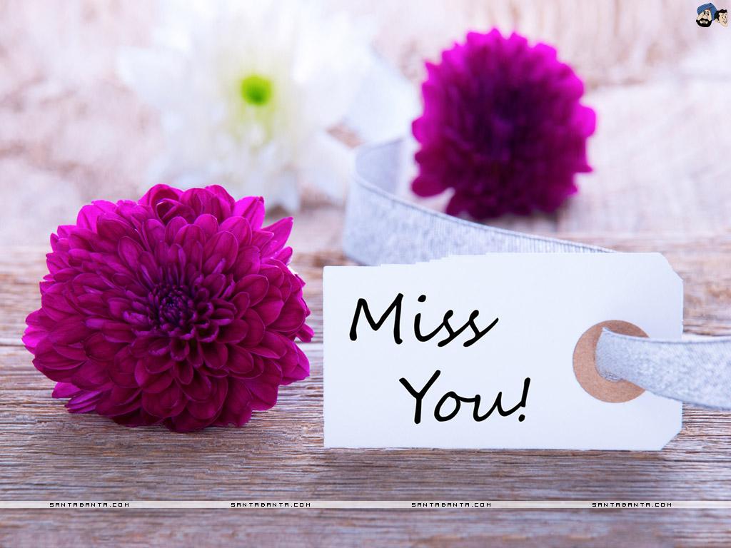 Cute 'I Miss You' Quotes for Him & Her with Image