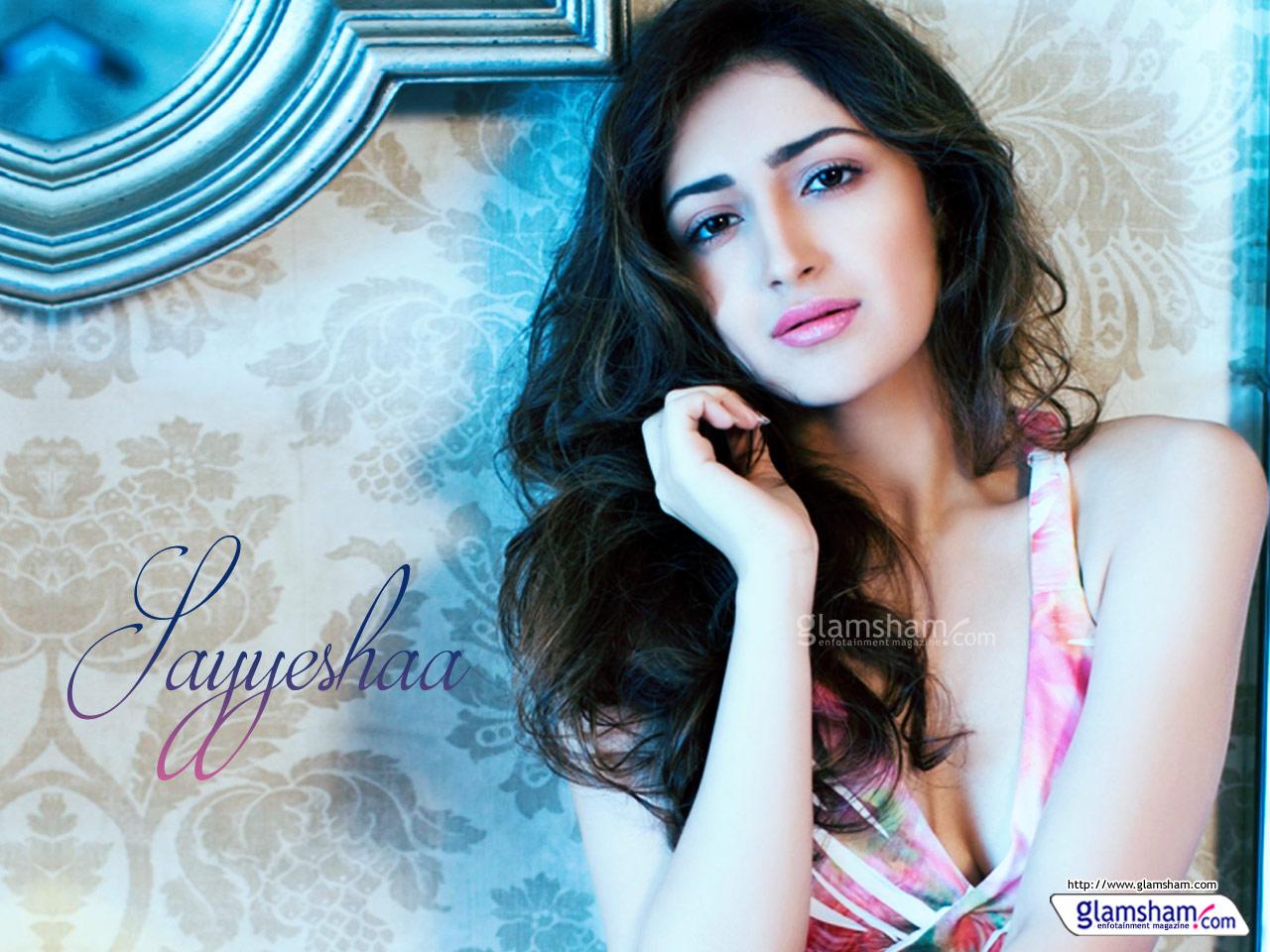 Sayyeshaa high resolution image 121115