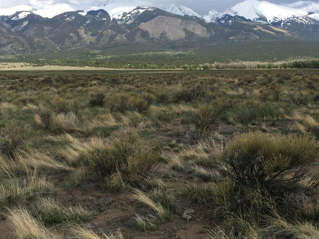 San Luis Valley shrub steppe. The shrub steppe of the San L