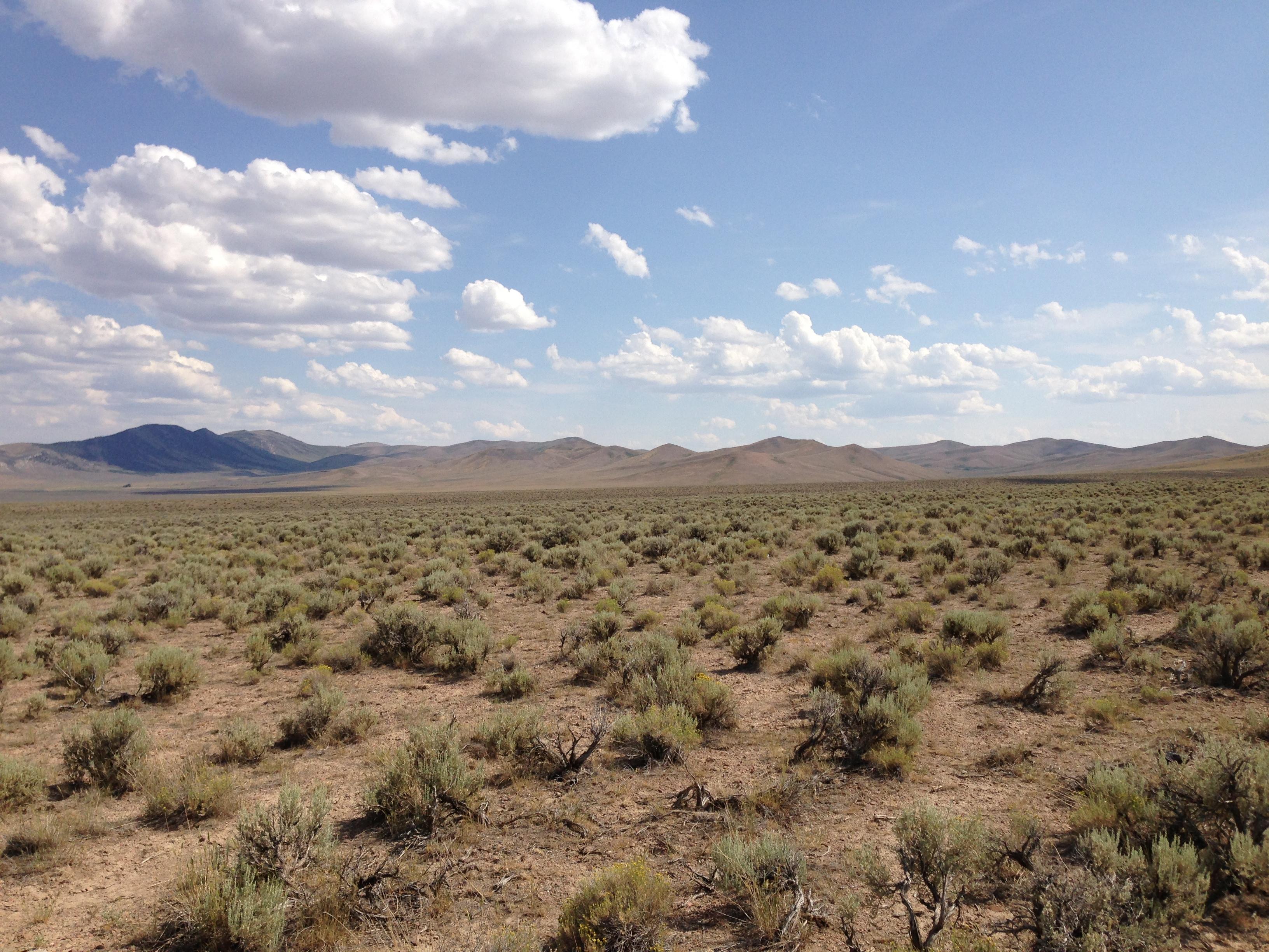 2013 07 04 15 37 14 Sagebrush Steppe Along U.S. Route 93