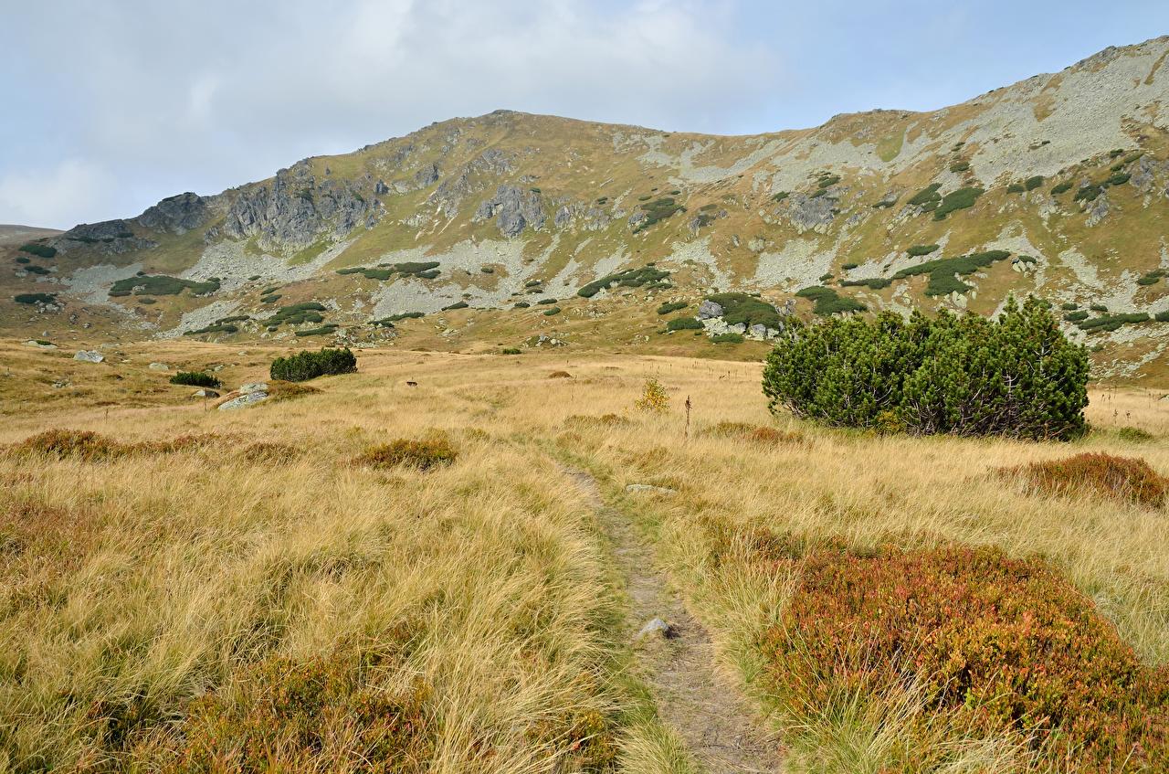 Photos Slovakia Tatra Trail Nature Mountains Moss Grass Bush