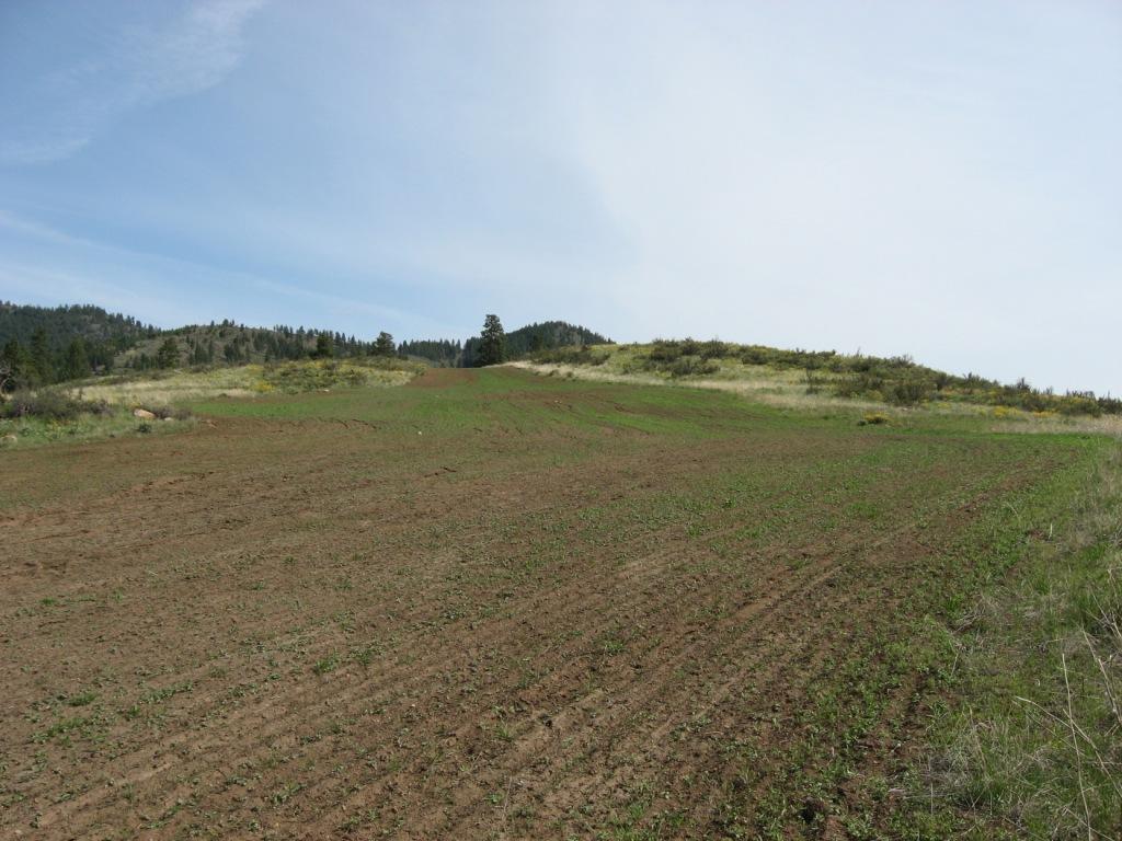 PRISM_Methow Shrub Steppe Restoration(3)