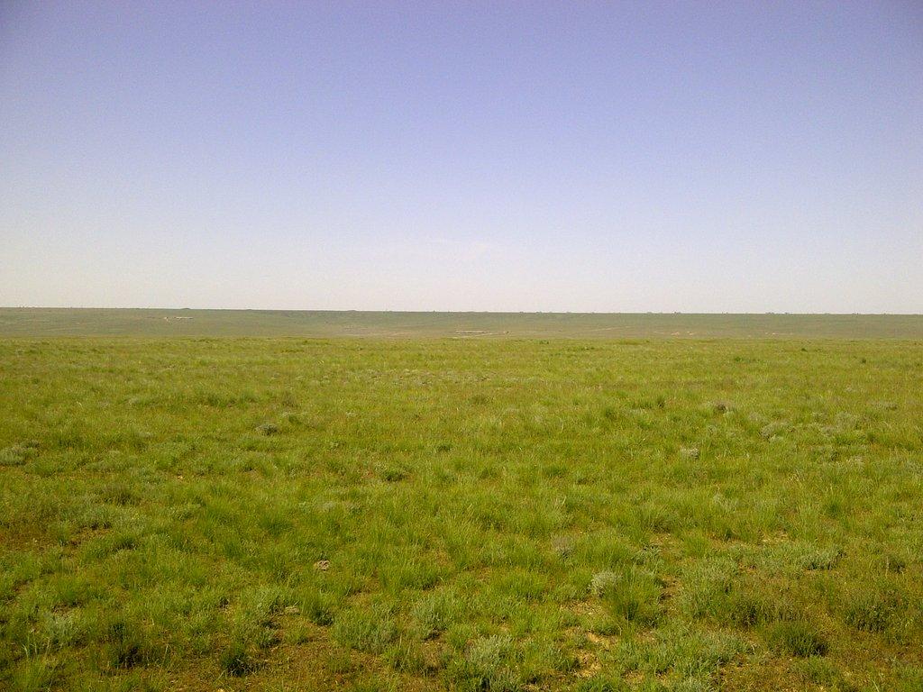 HD Steppe Wallpaper and Photo. HD Nature Wallpaper