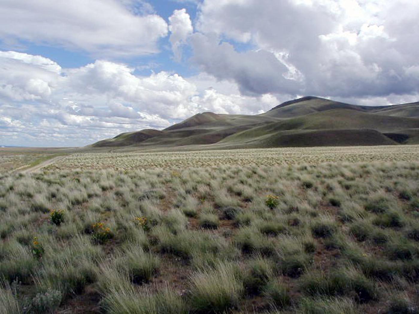 Pacific Northwest Interagency Natural Areas Network