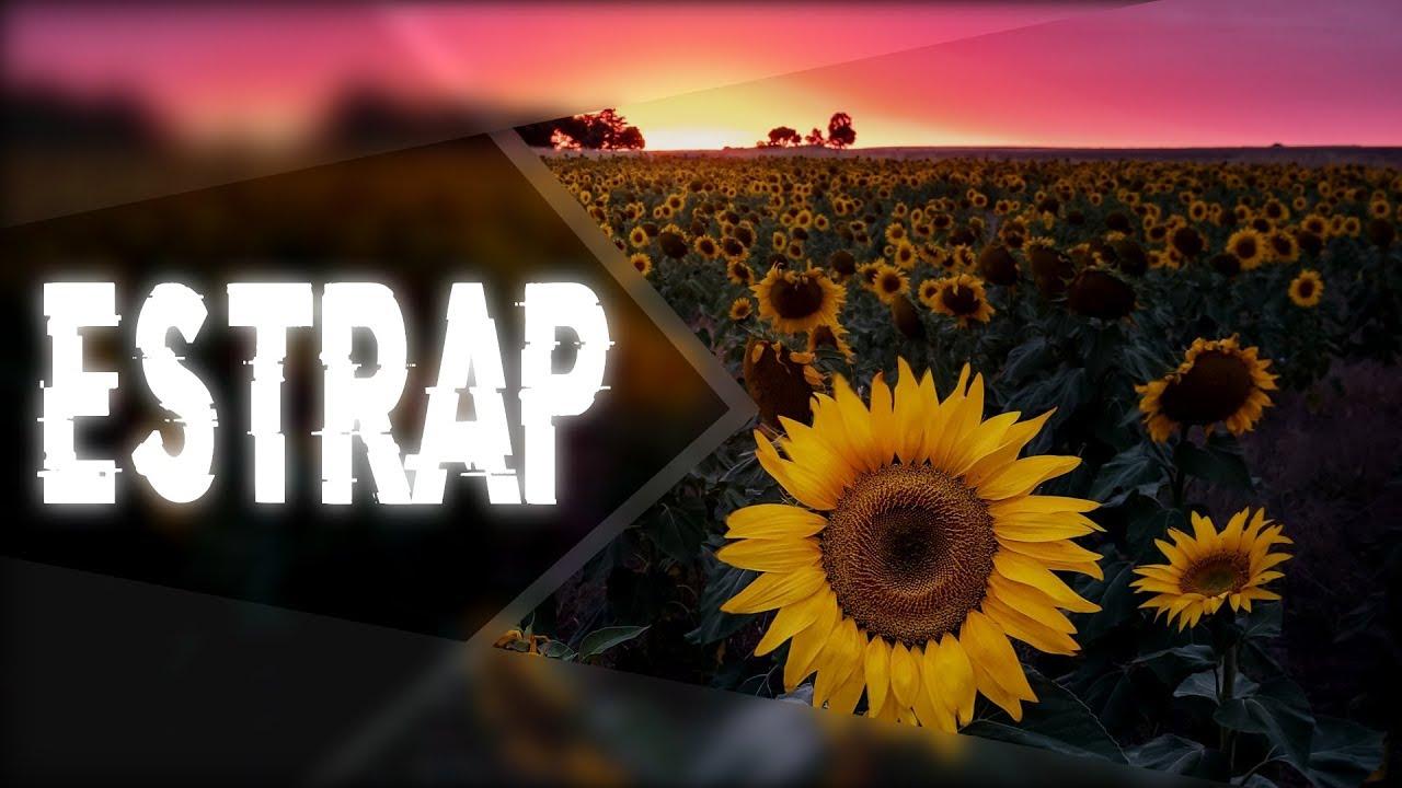 Post Malone & Swae Lee (LYRICS)