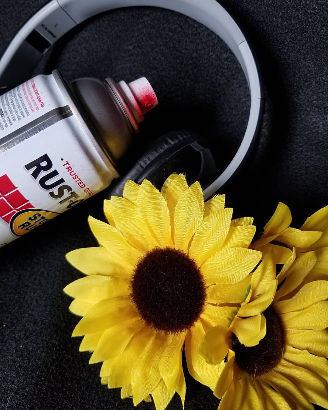 Explore hashtag #sunflowerpostmalone Photo & Videos