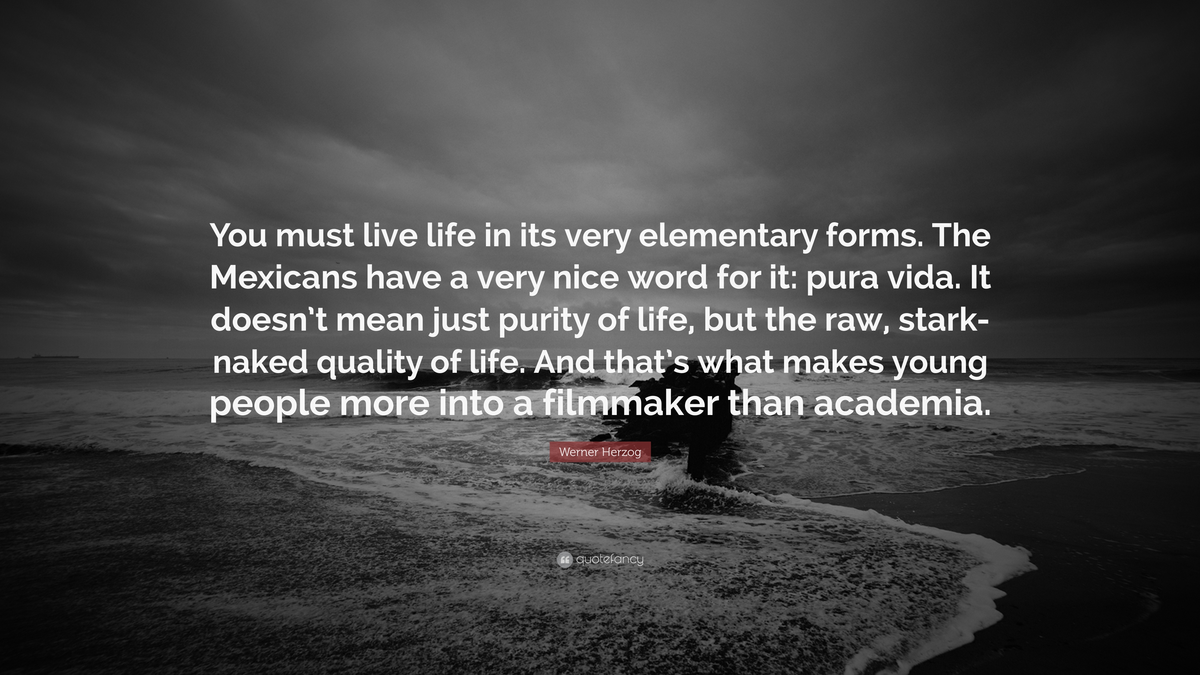 Werner Herzog Quote: “You must live life in its very elementary