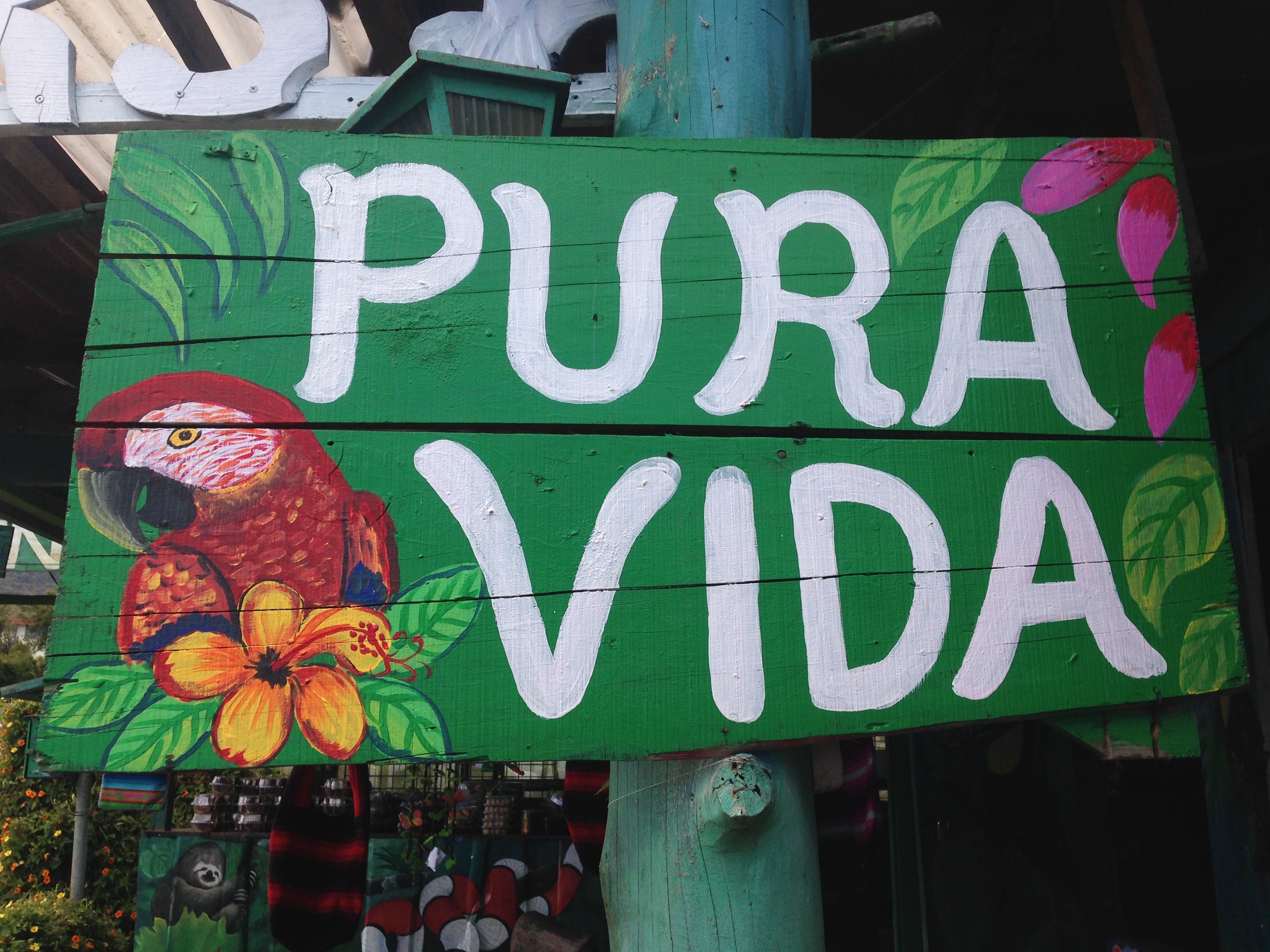 green and white pura vida signage free image