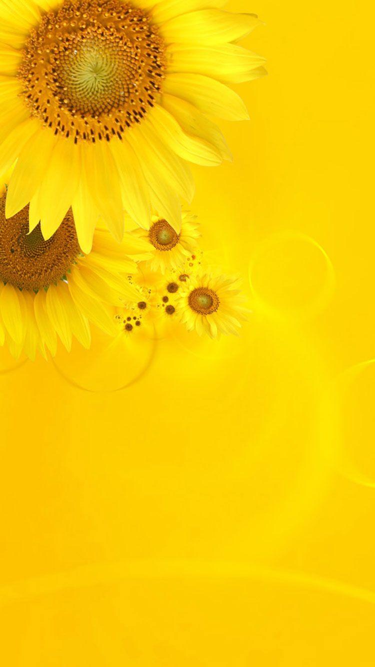 Yellow Flowers Wallpaper PC Yellow Flowers Image in Special