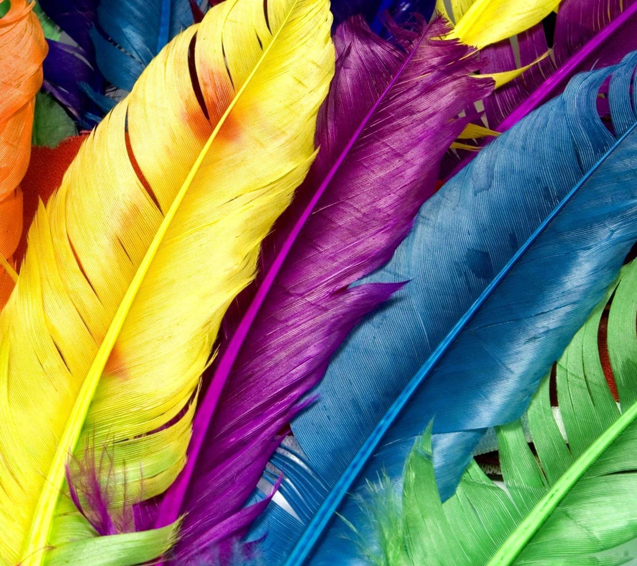Holi Special: 25 Colourful Homescreen Wallpaper For Your Phone