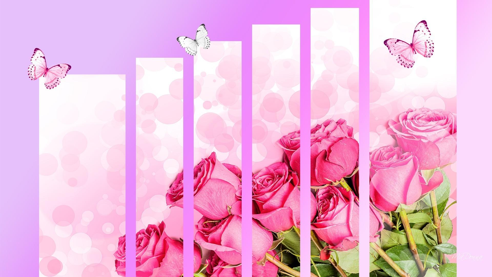 Roses so special wallpaper. PC