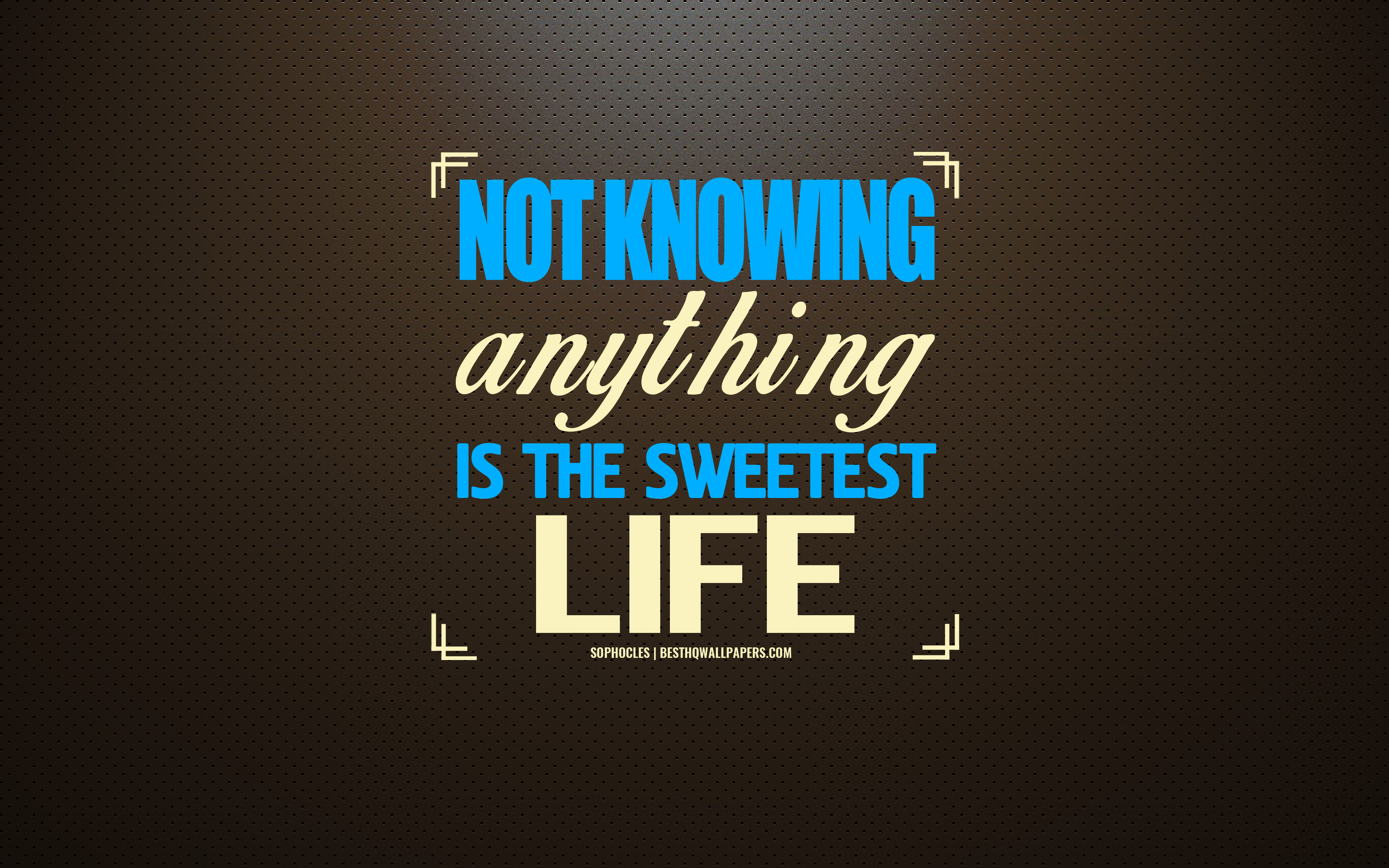 Download wallpaper Not knowing anything is the sweetest life
