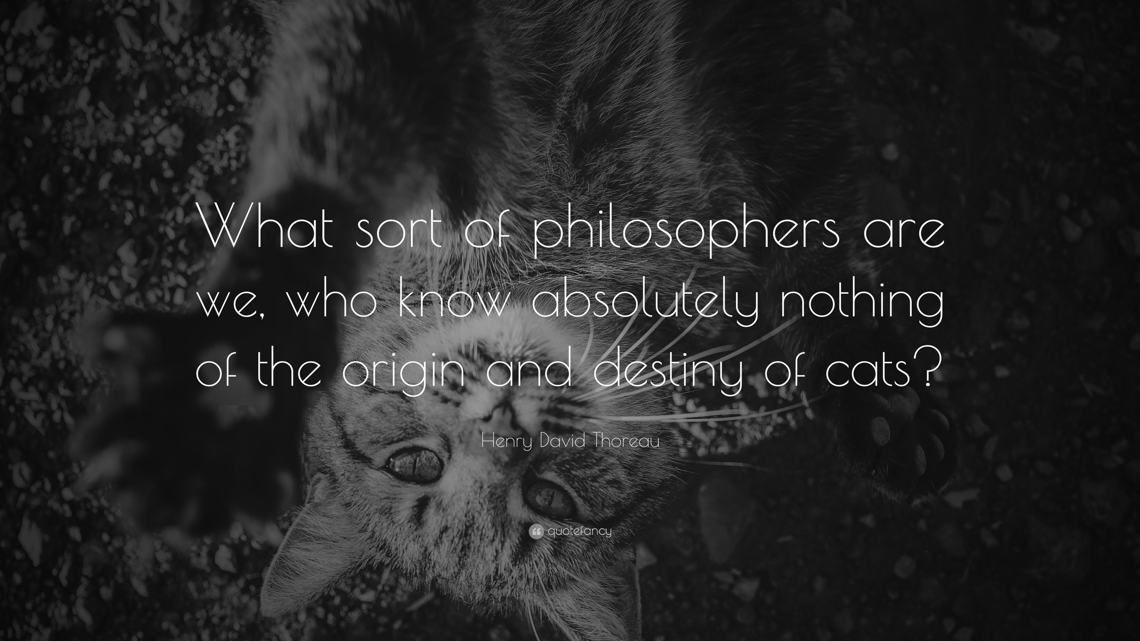 Henry David Thoreau Quote: “What sort of philosophers are we, who