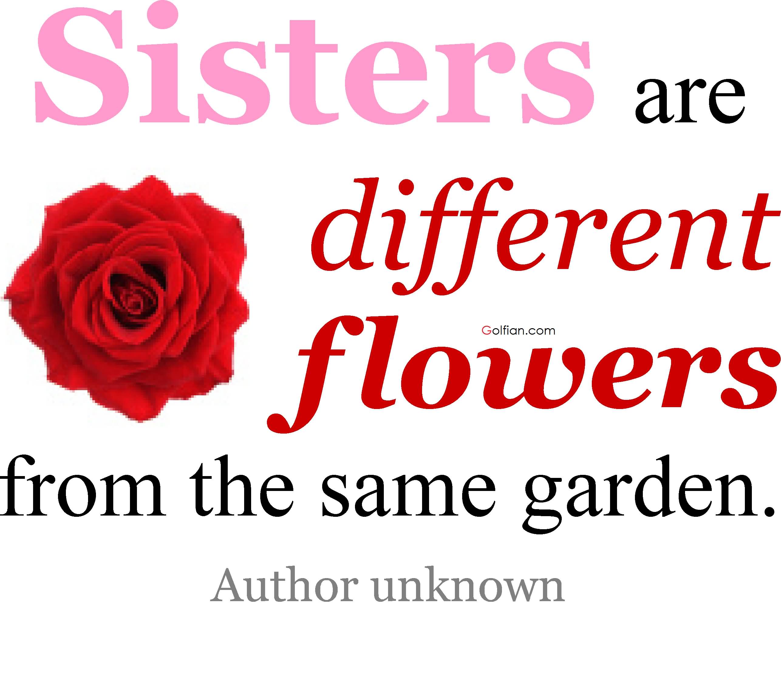 Most Beautiful Sister Quotes