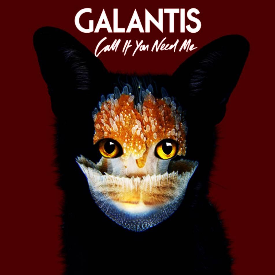 Galantis image GALANTIS If You Need Me HD wallpaper
