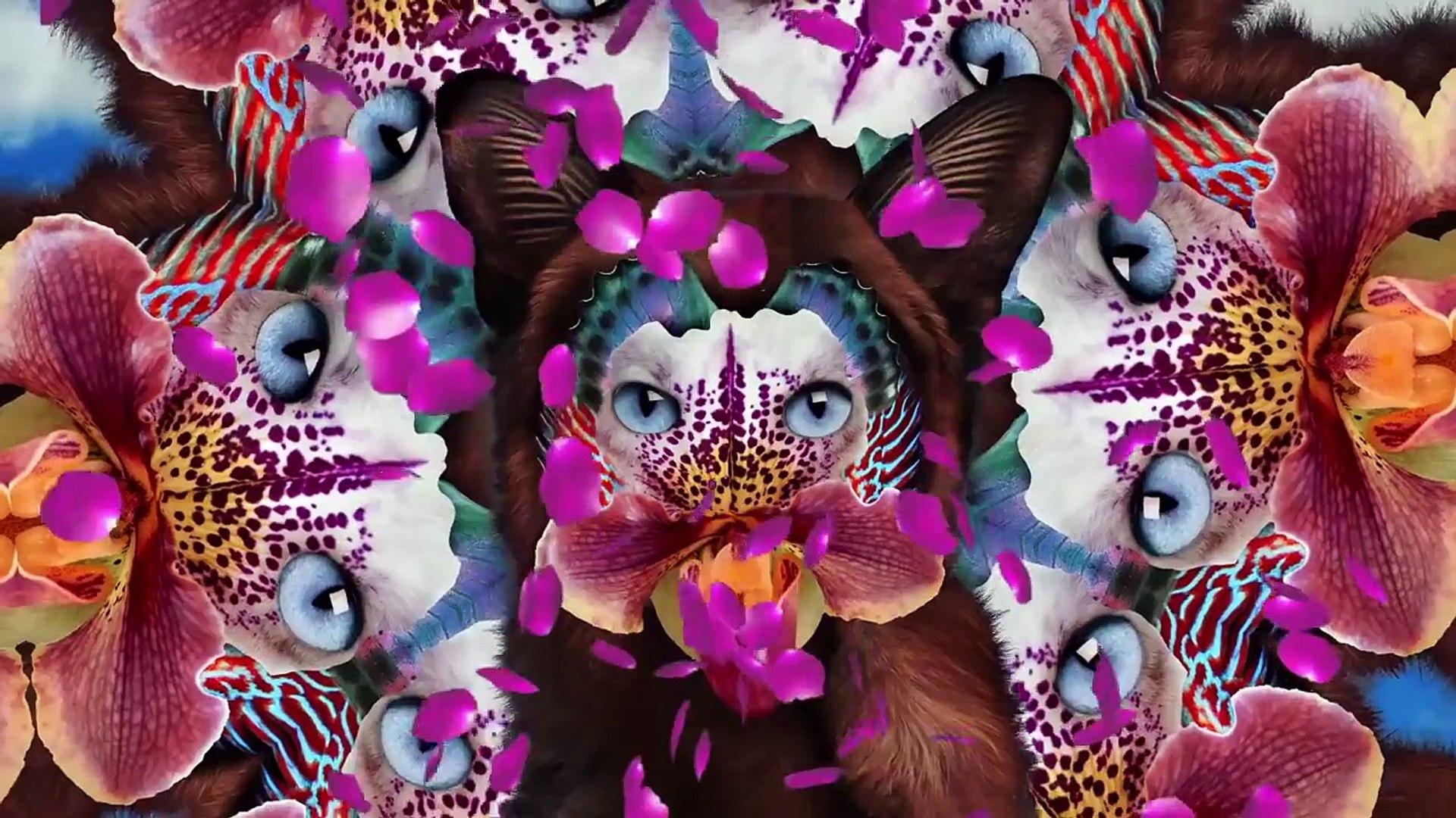 Galantis Money (Official Audio)