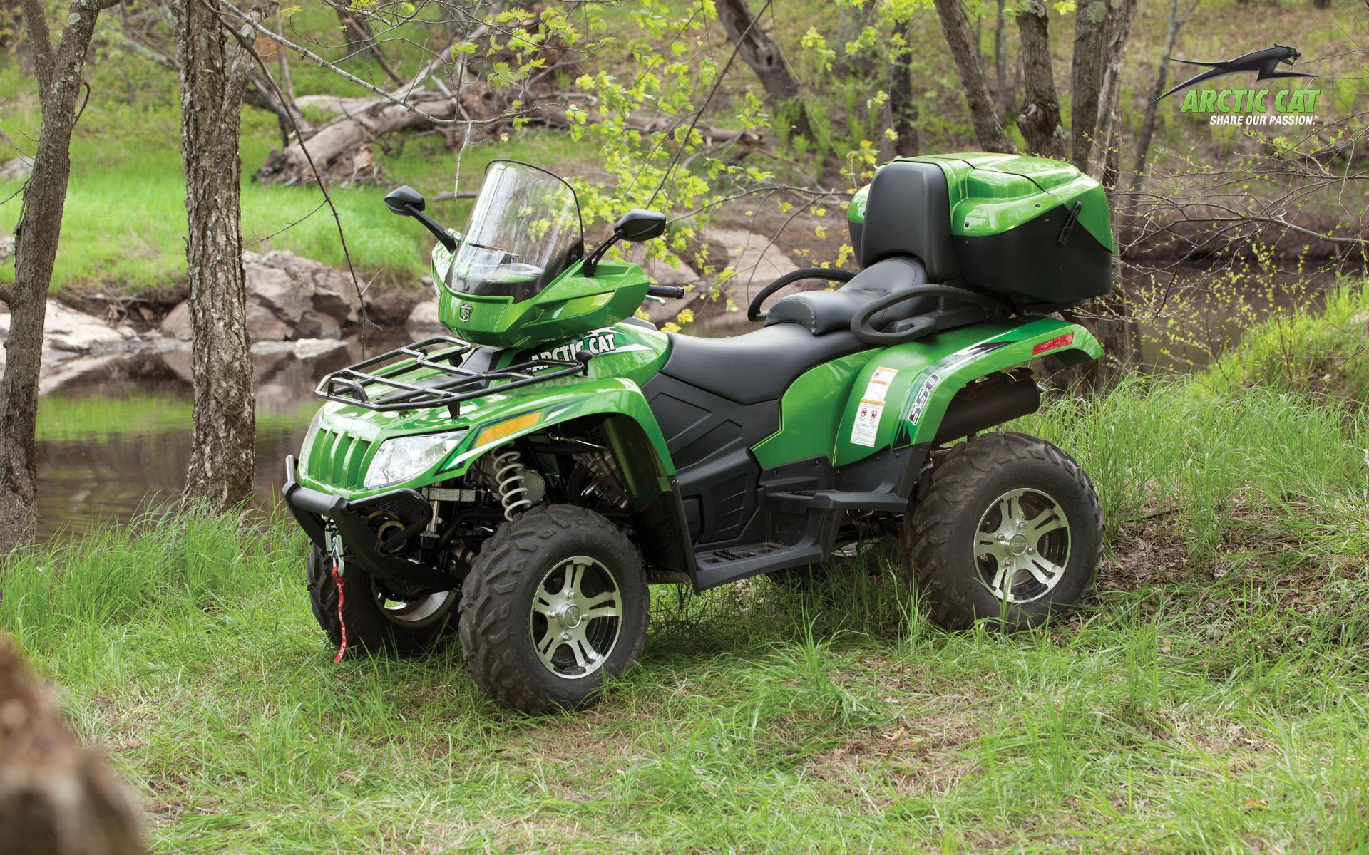 Arctic Cat HD Wallpaper