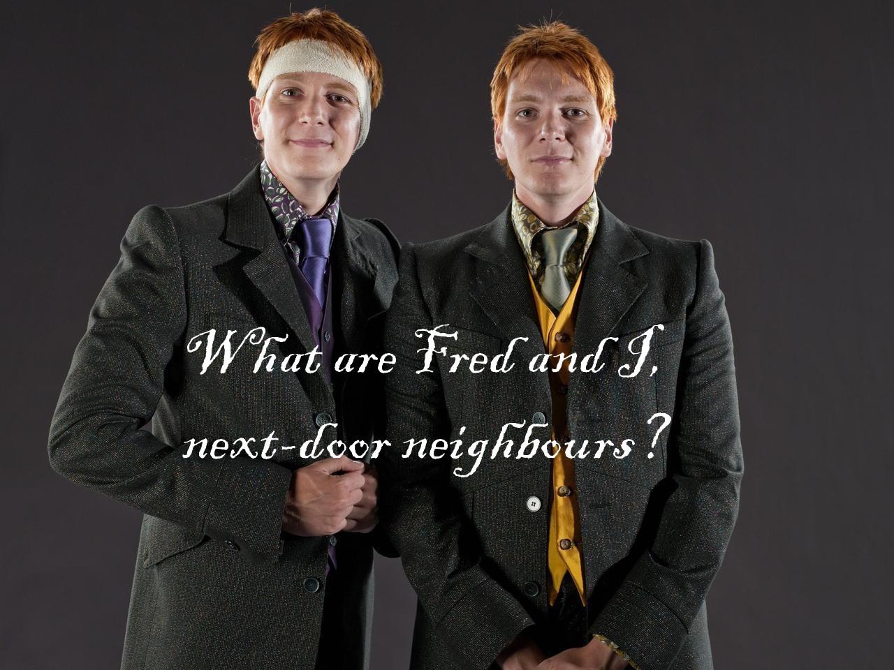 Fred and George Weasley Aesthetic iPhone Wallpaper now available on my