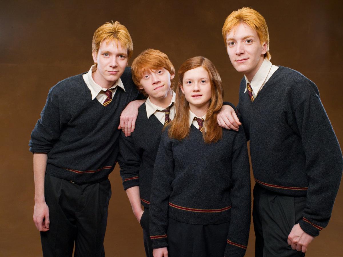 Harry Potter relationships that only warring siblings will