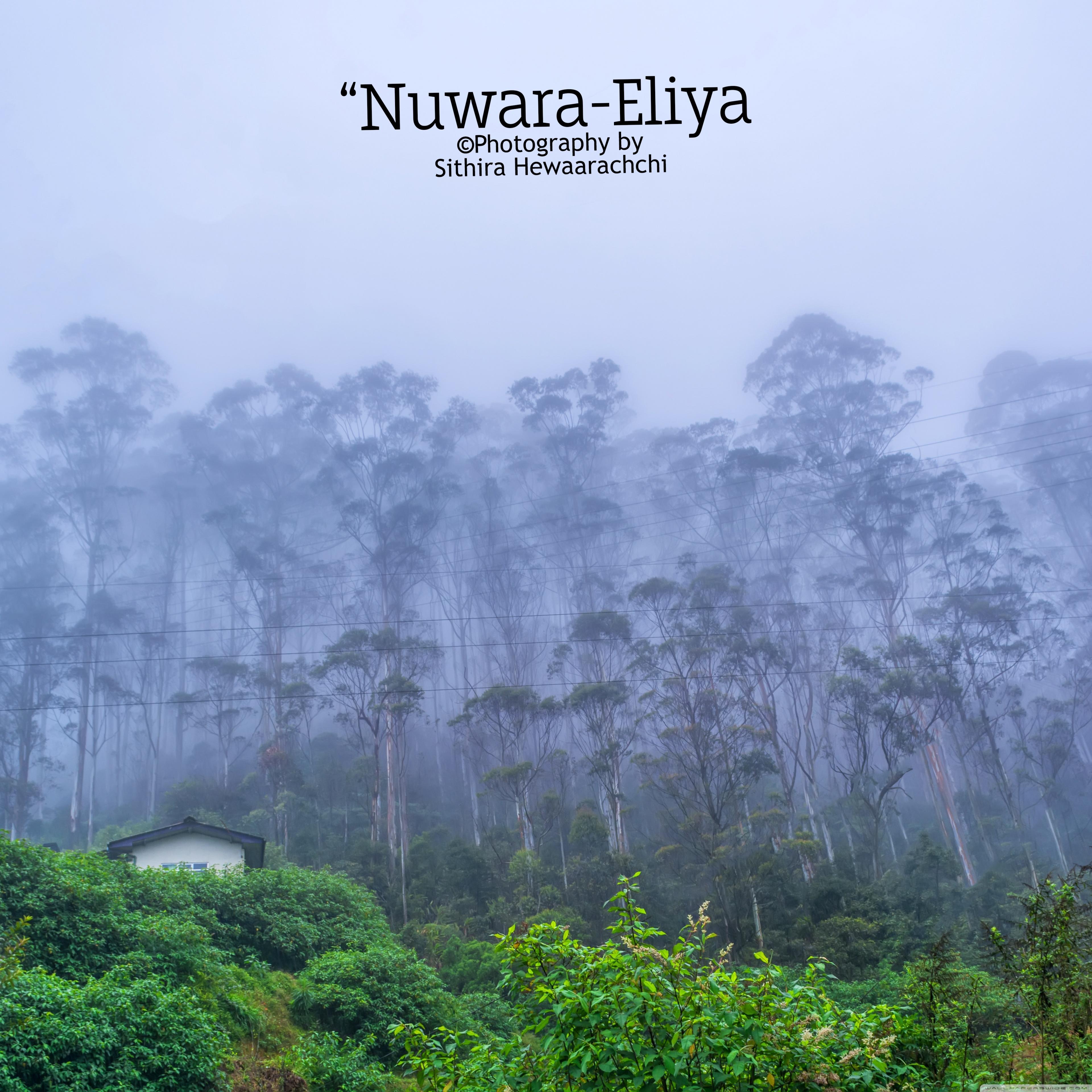 Nuwara Eliya Lanka ❤ 4K HD Desktop Wallpaper For • Wide