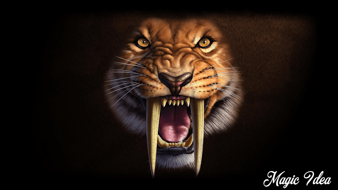 Saber Tooth Wallpaper 1.1 APK Download Personalization Apps