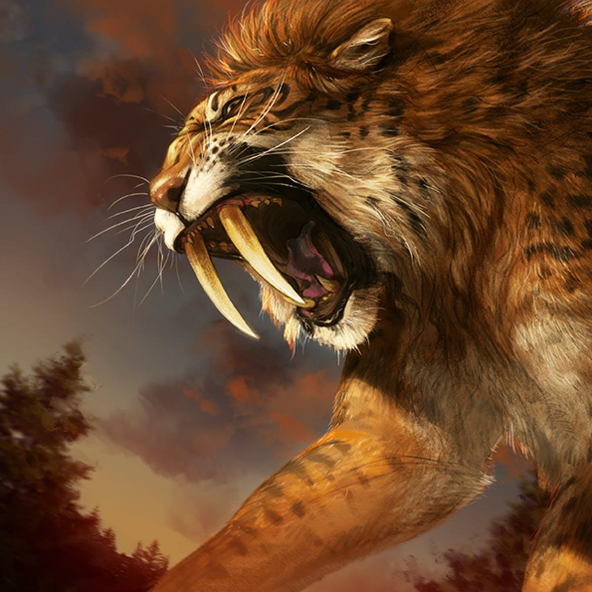 Ancient DNA Connects Saber Toothed Tigers And House Cats