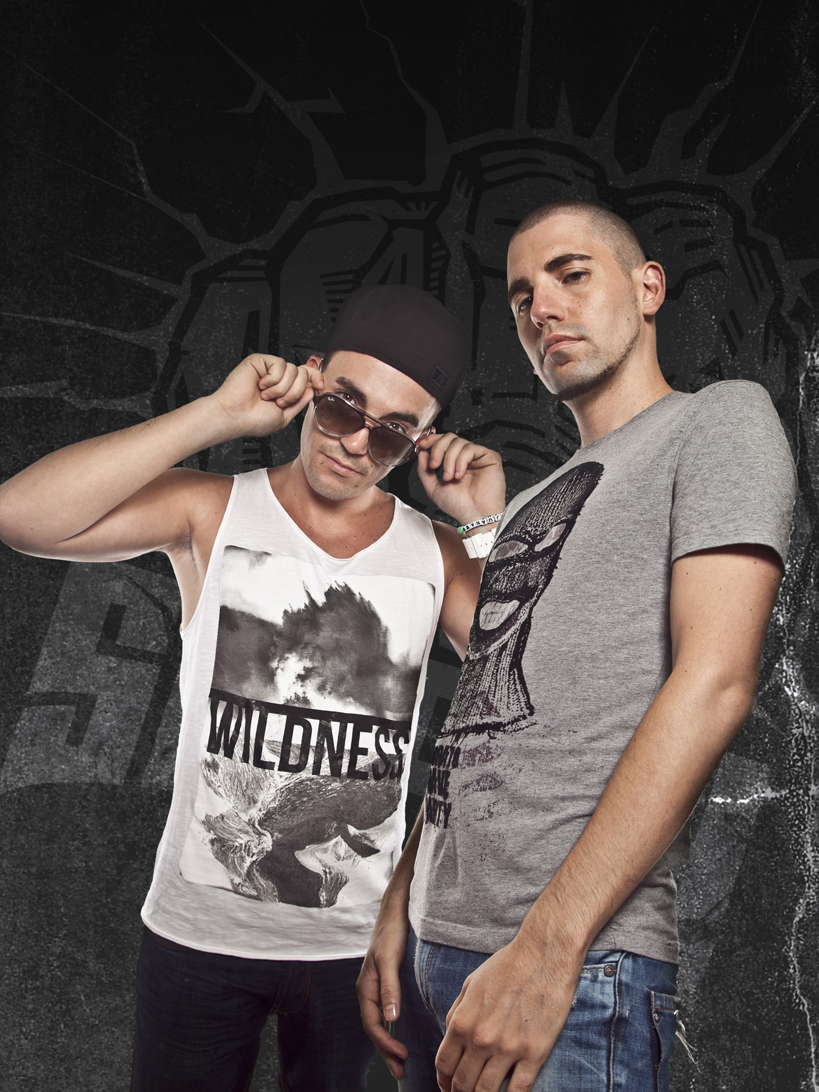 Dimitri Vegas & Like Mike Picture
