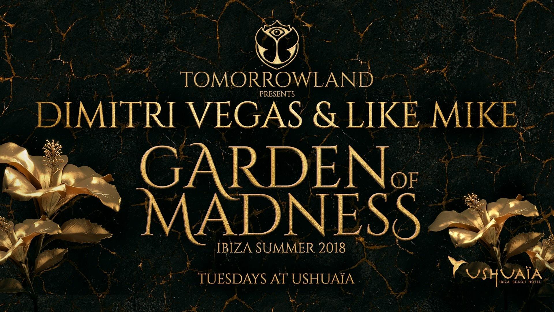 Dimitri Vegas HD Wallpaper