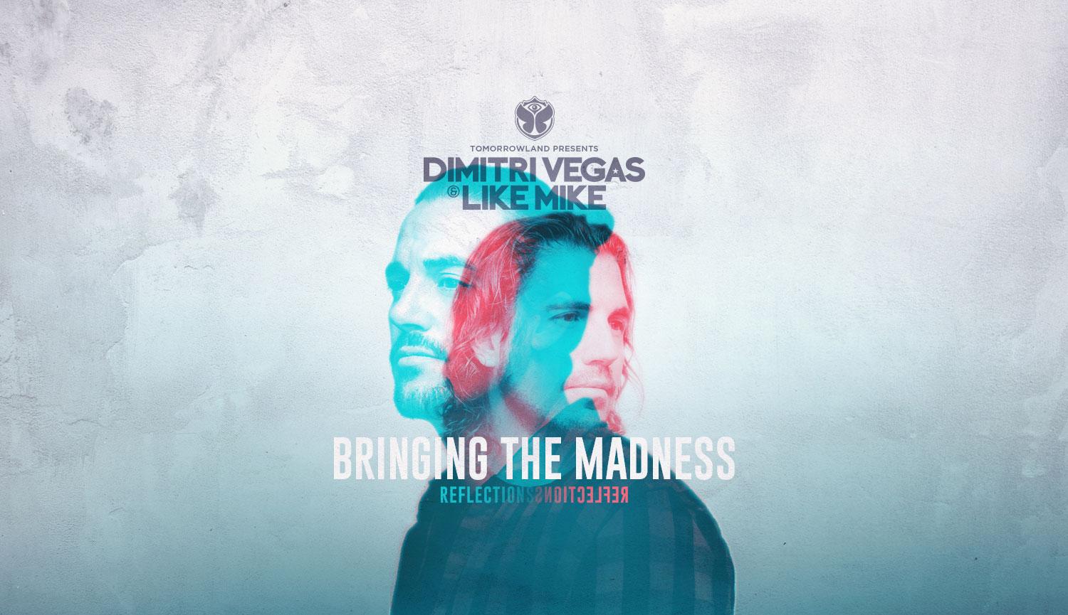 Dimitri Vegas & Like Mike 2017 the Madness: Reflections