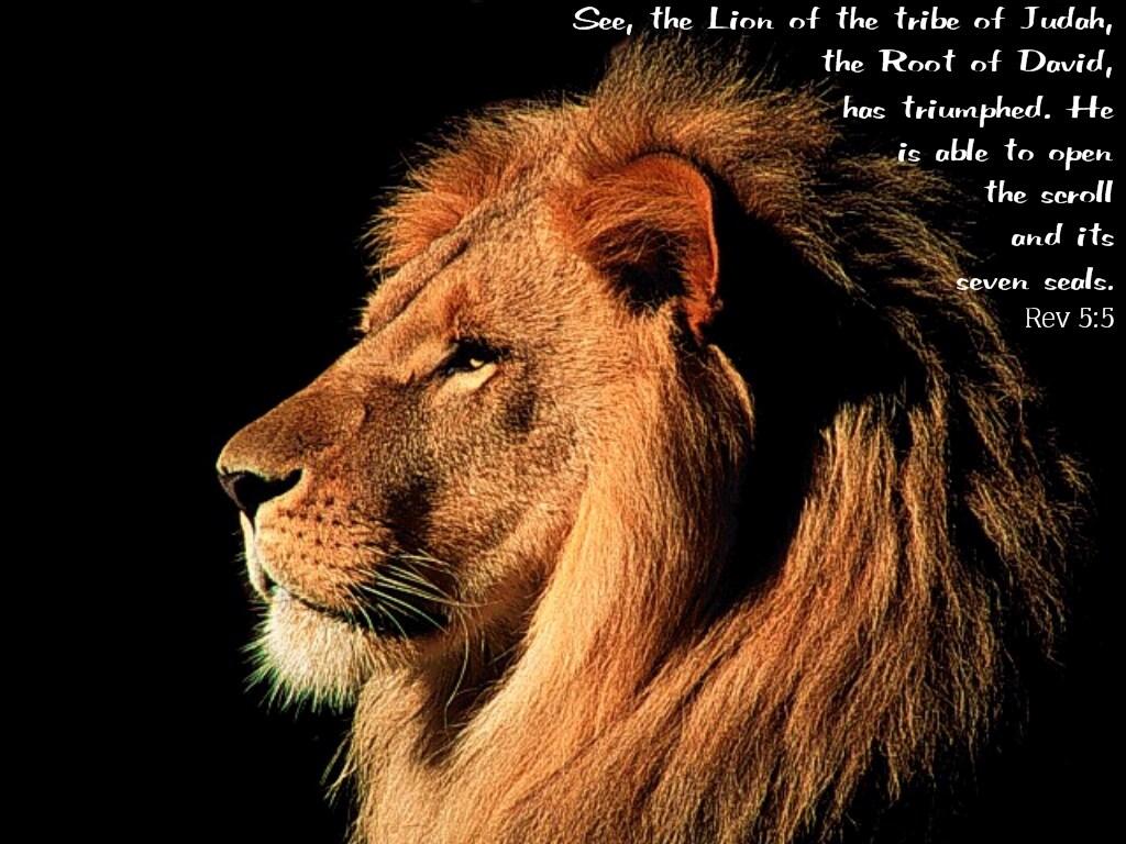 Lion Of Judah Wallpaperwallpaperafari.com