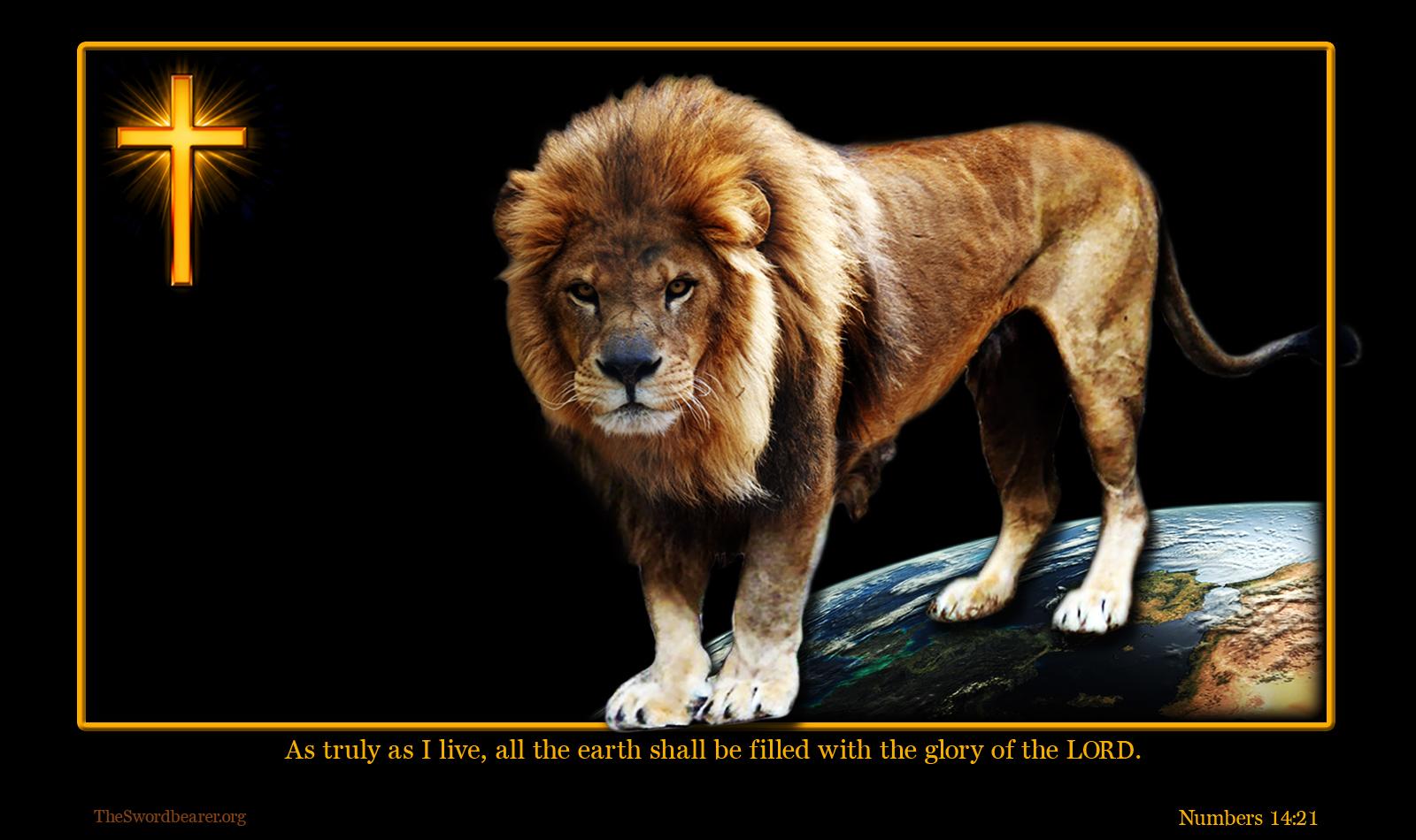 Free download Wallpaper Lion of the tribe of Judah [1600x950]