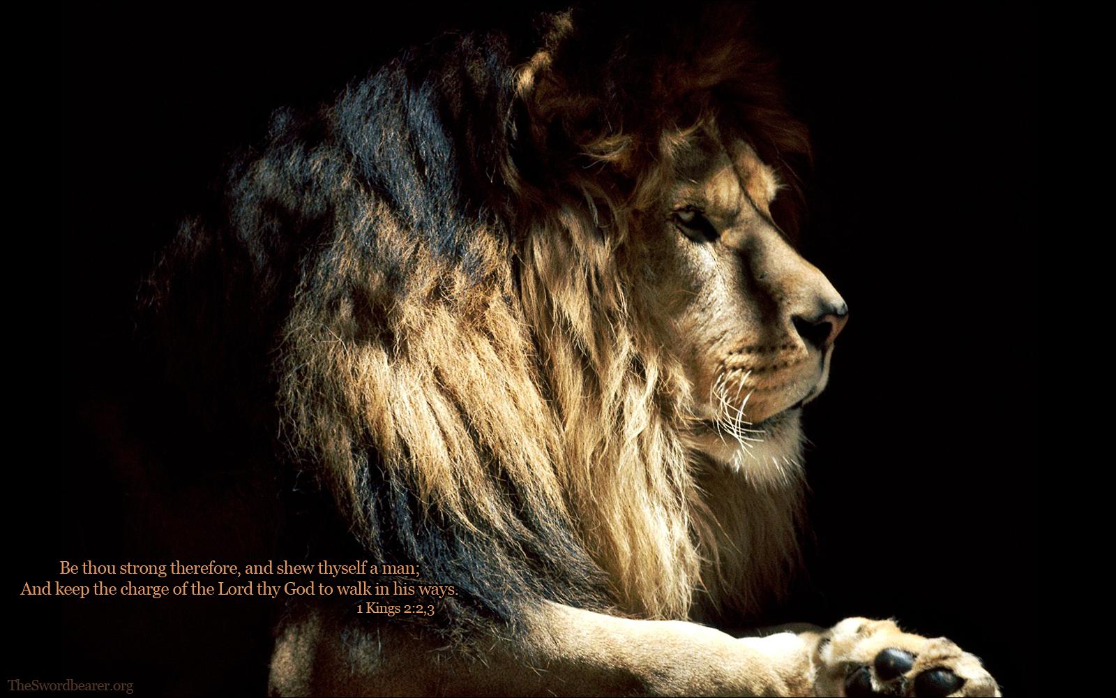 Lion Of Judah HD Wallpapers - Wallpaper Cave