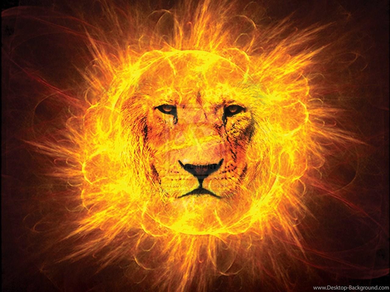 Picture Of Lion Of Judah Wallpaper HD Fine Desktop Background