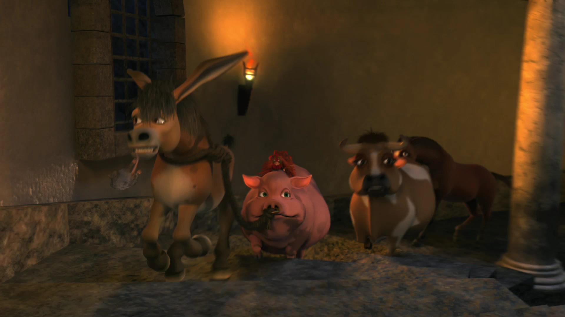 Lion of Judah Wallpaper