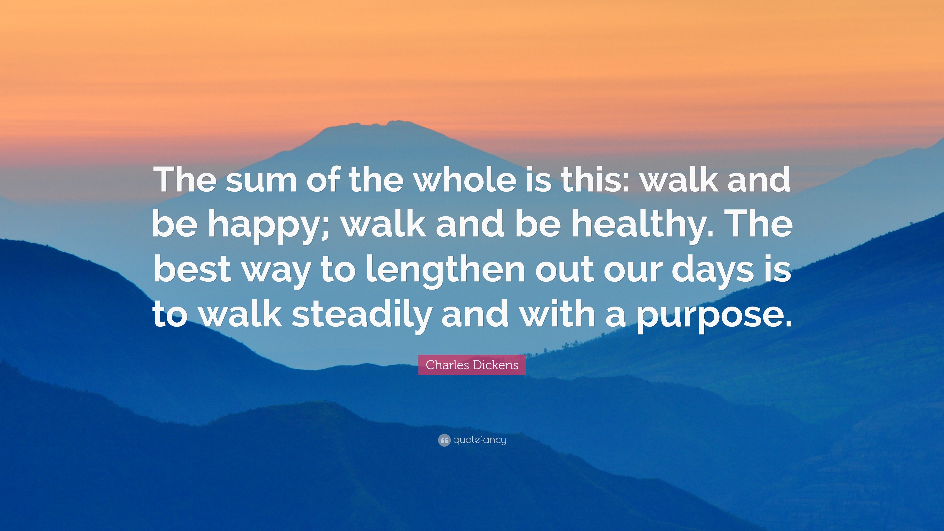 Charles Dickens Quote: “The sum of the whole is this: walk and be