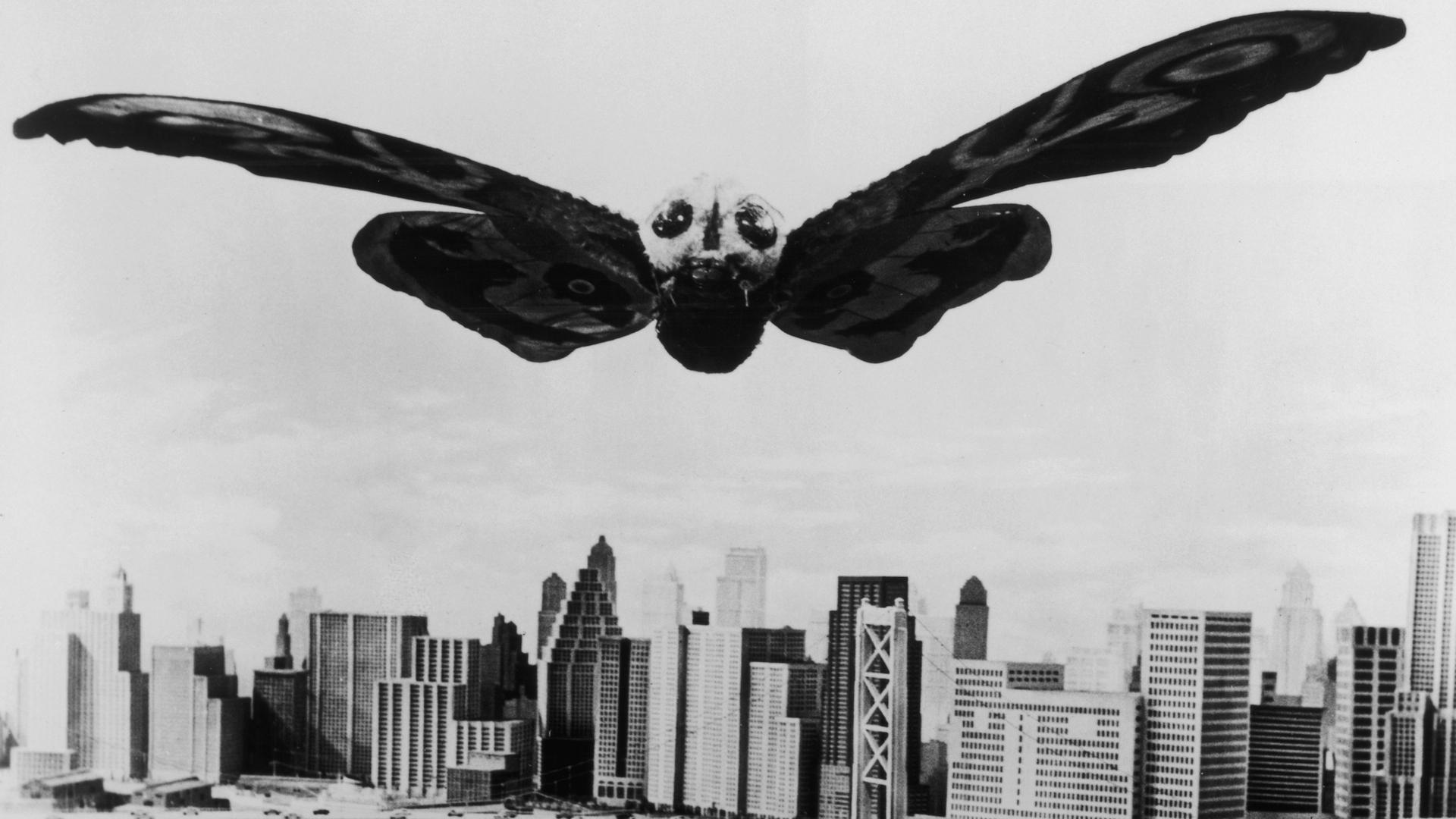 Terror Over Tokyo. The Insightful Panda