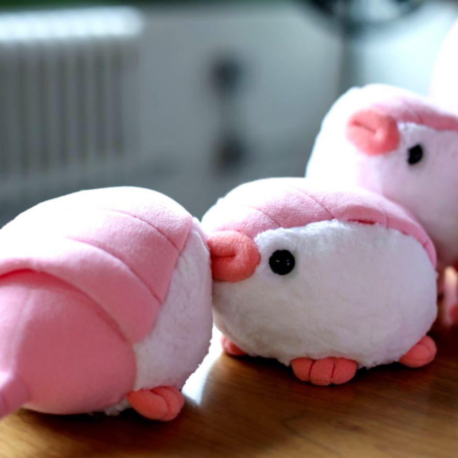 Pink Fairy Armadillo