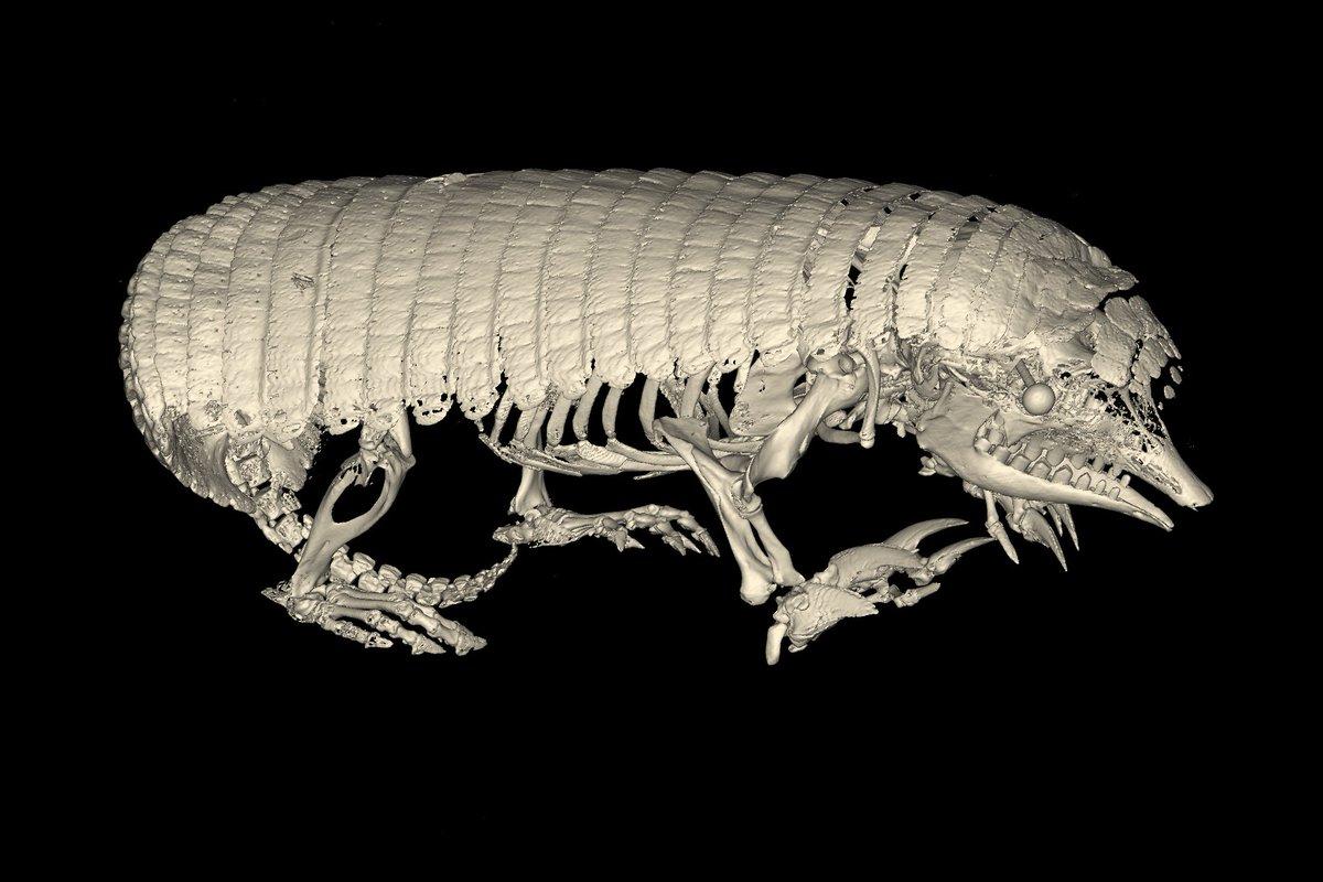 CBC Cambridge stages of CT scanning! This week