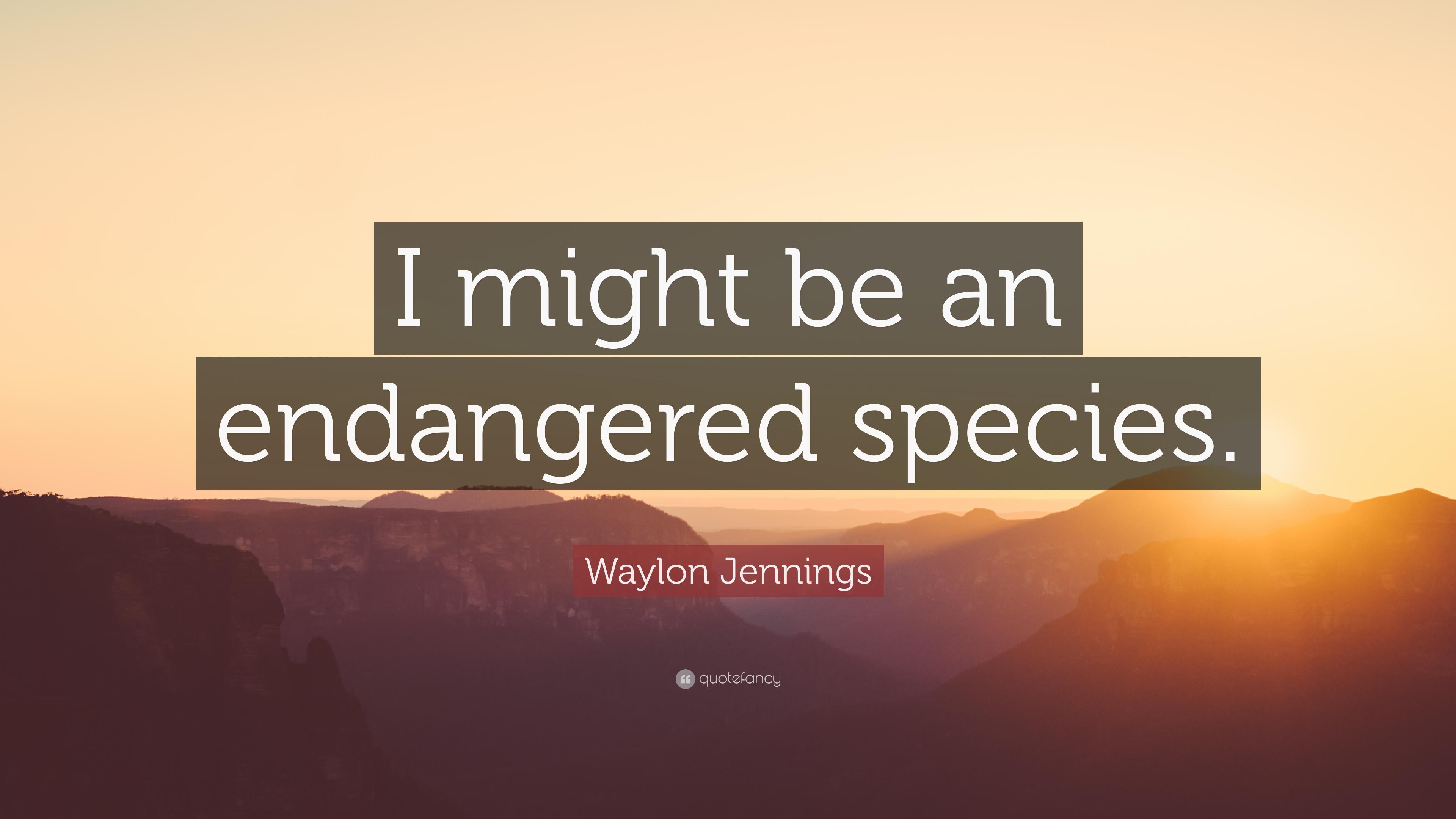 Waylon Jennings Quote: “I might be an endangered species.” 7